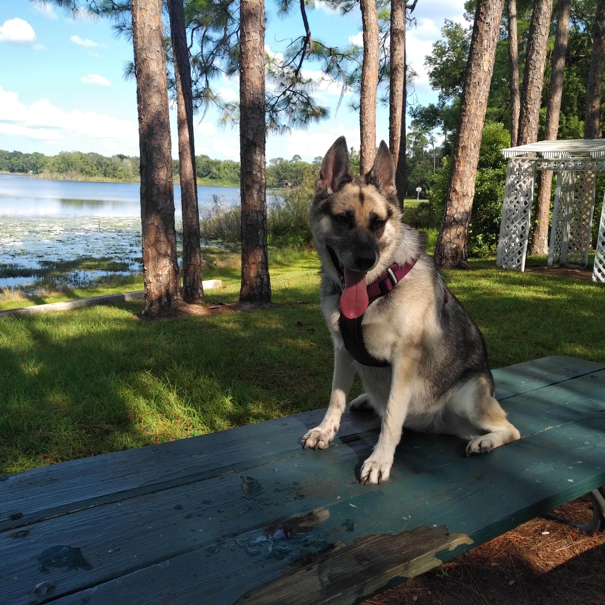 Margaret Wesley Park - Lake Mary, FL