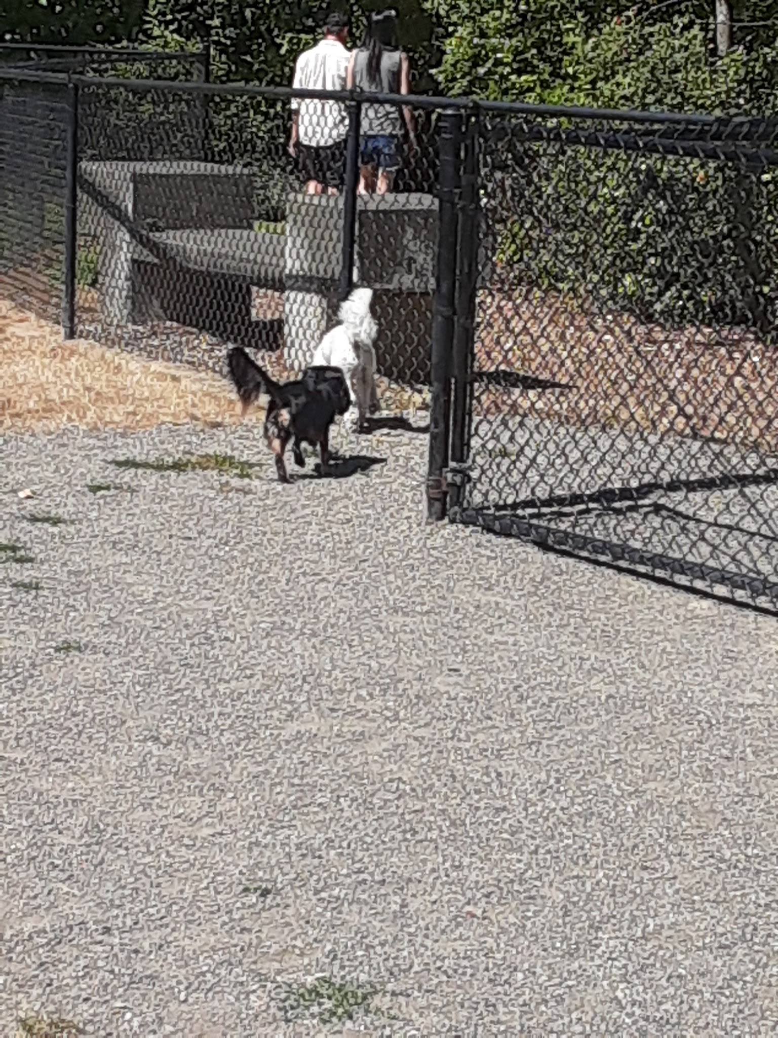 McNary Dog Park - Lake Oswego, OR