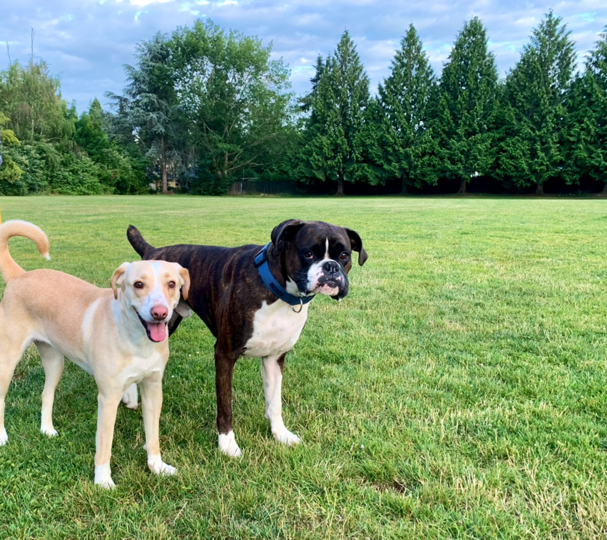 Pilkington Park - Lake Oswego, OR