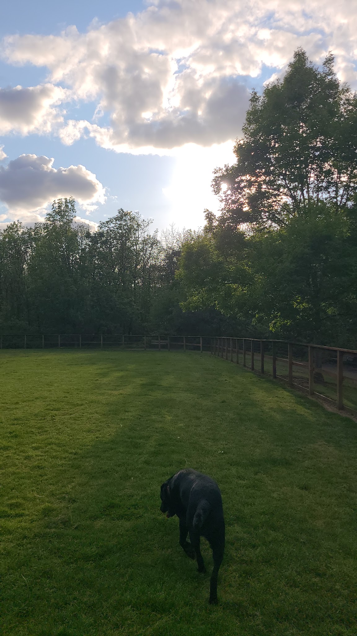 Waluga Dog Park - Lake Oswego, OR