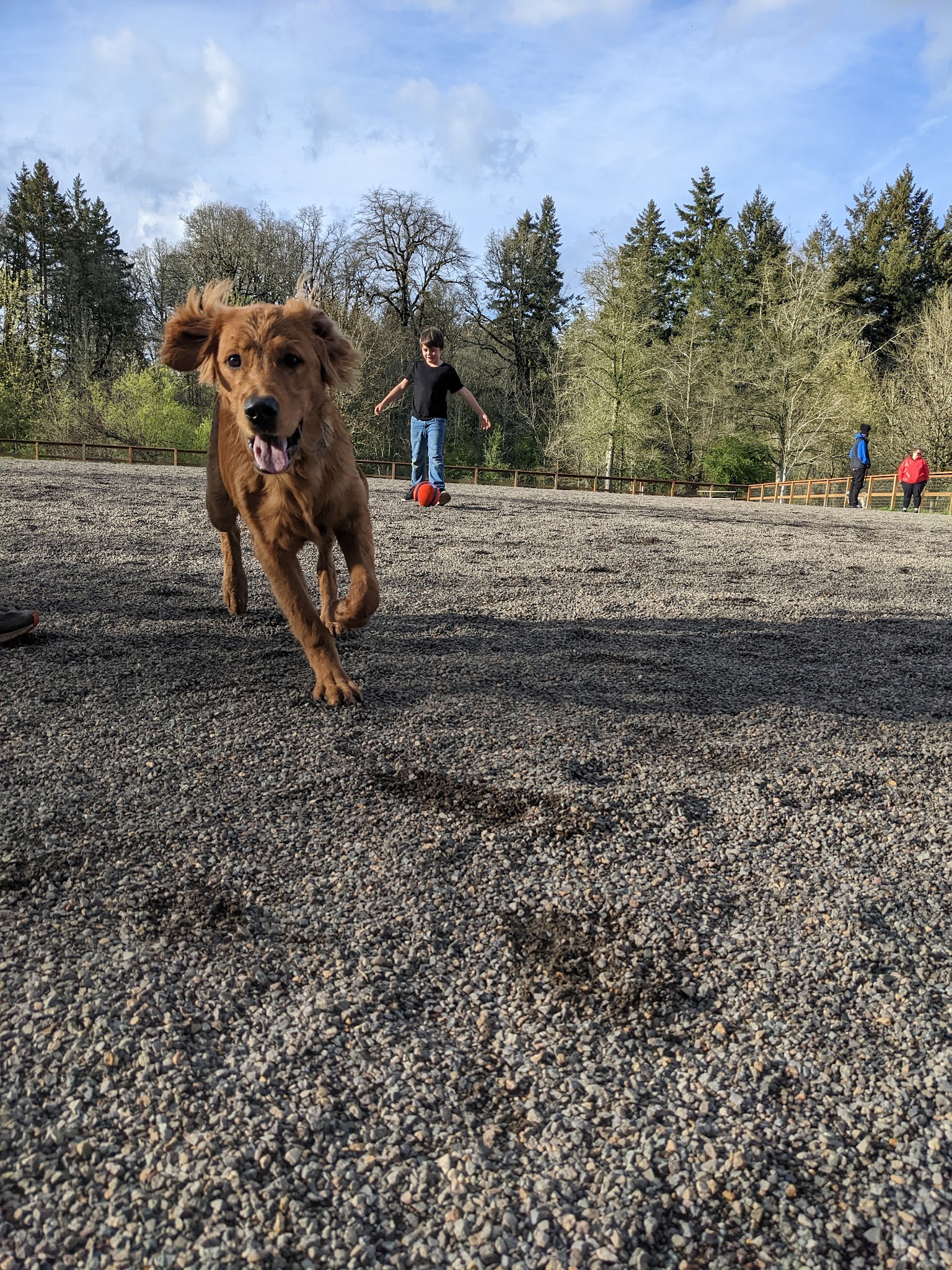 Waluga Dog Park - Lake Oswego, OR