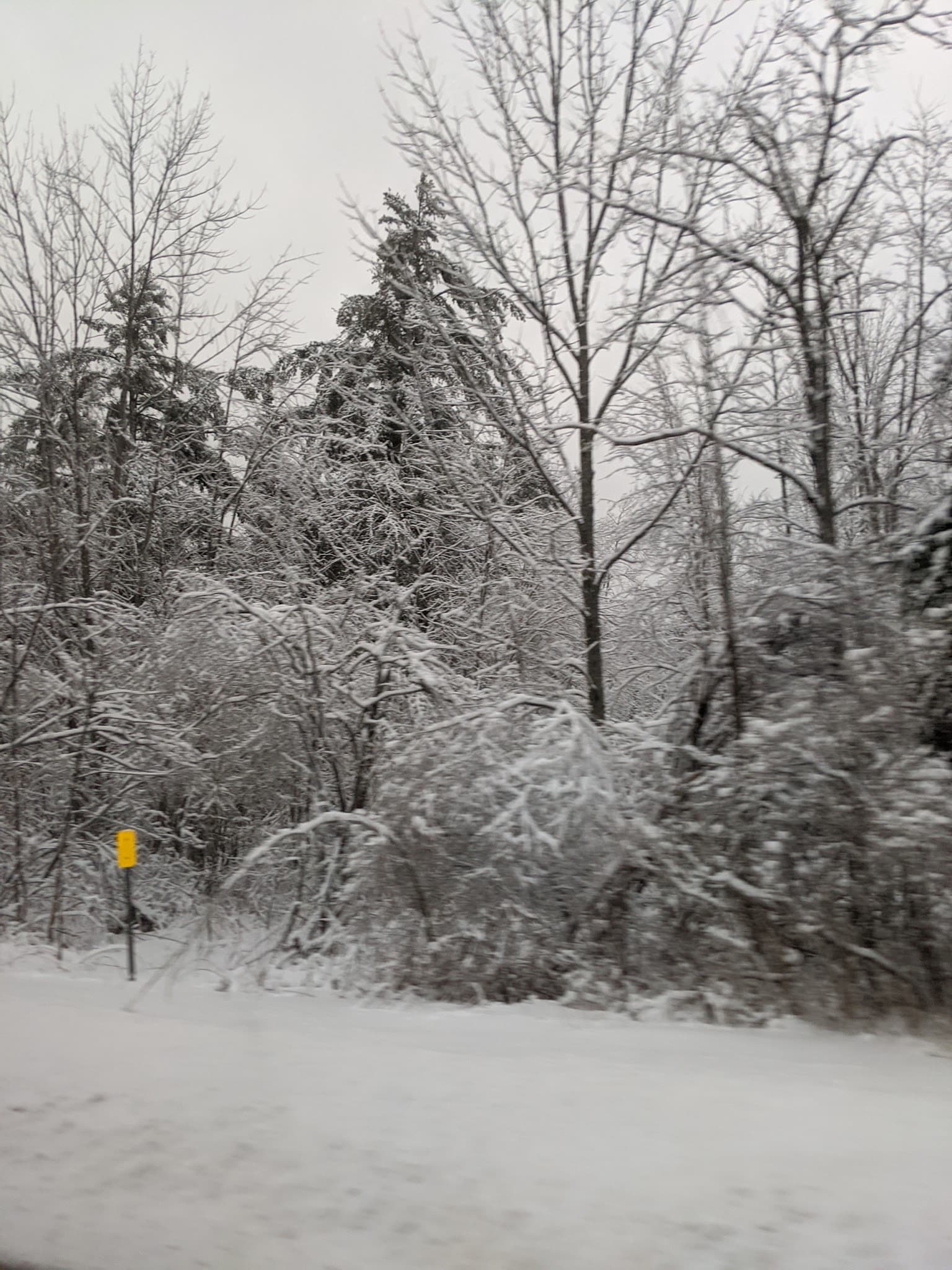 Jessup River Wild Forest - Lake Pleasant, NY