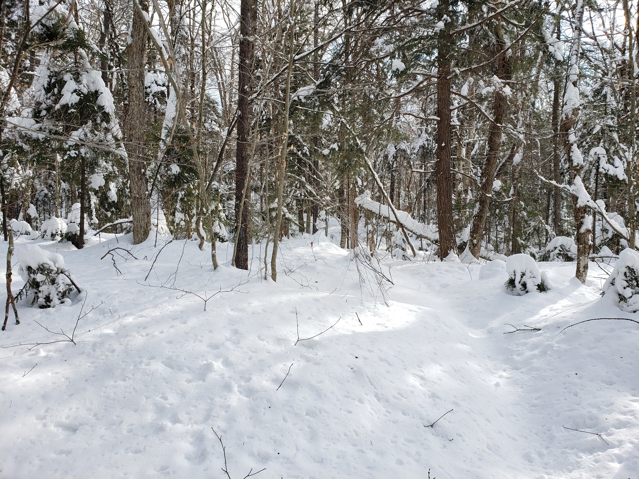 Jessup River Wild Forest - Lake Pleasant, NY