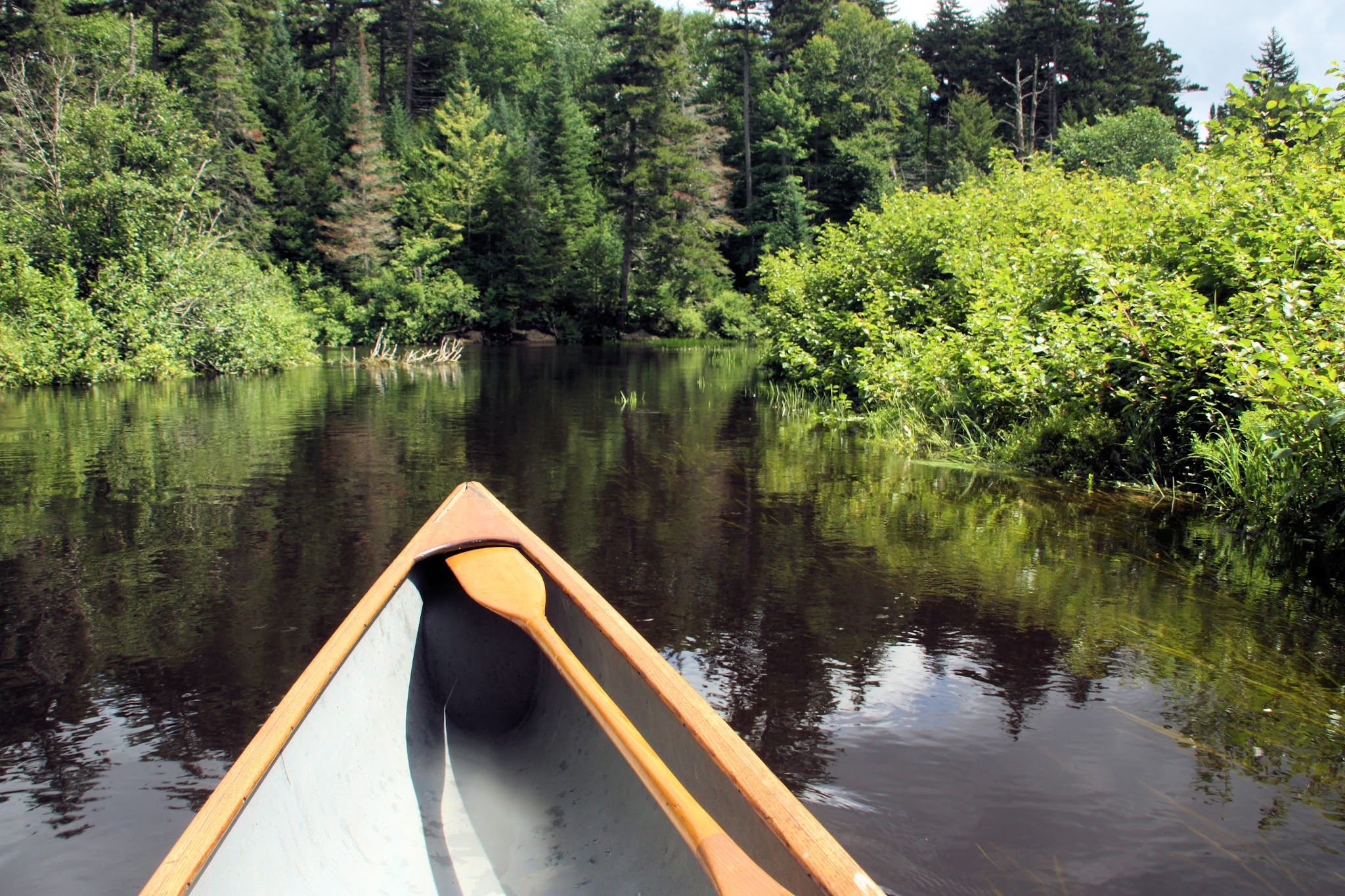 Jessup River Wild Forest - Lake Pleasant, NY