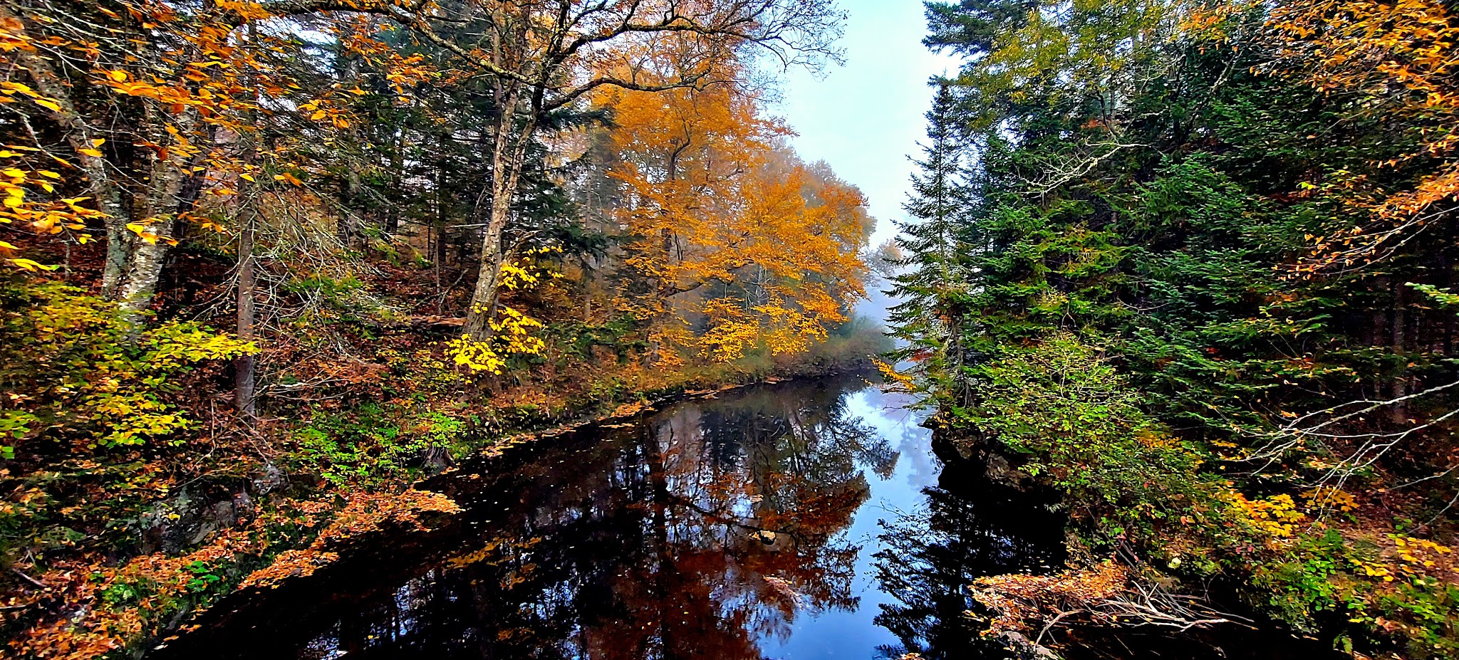 Jessup River Wild Forest - Lake Pleasant, NY