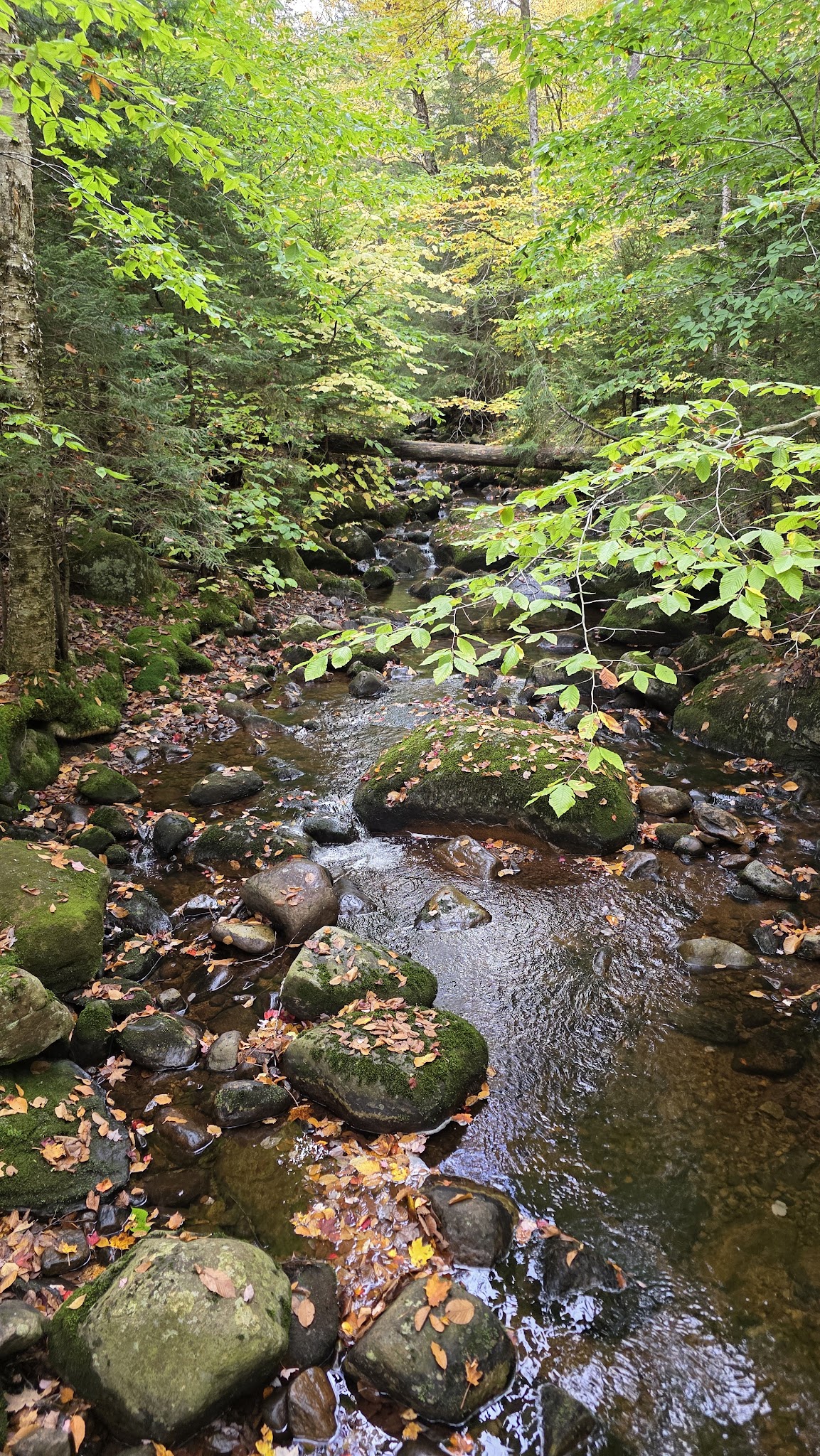 Pillsbury Mountain Trailhead - Lake Pleasant, NY