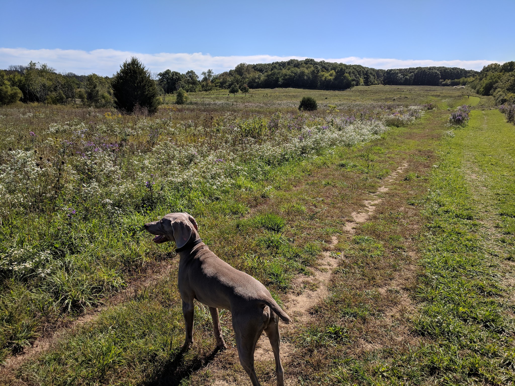 Duck Farm Forest Preserve - Lake Villa, IL
