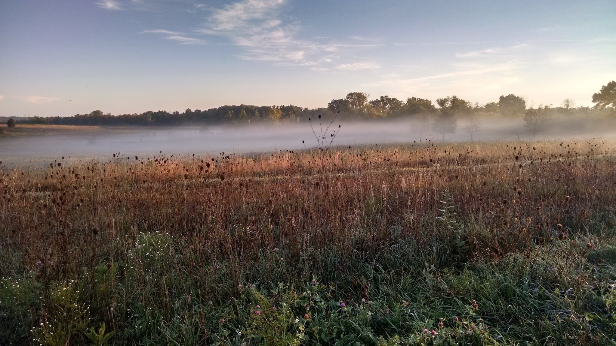Duck Farm Forest Preserve - Lake Villa, IL