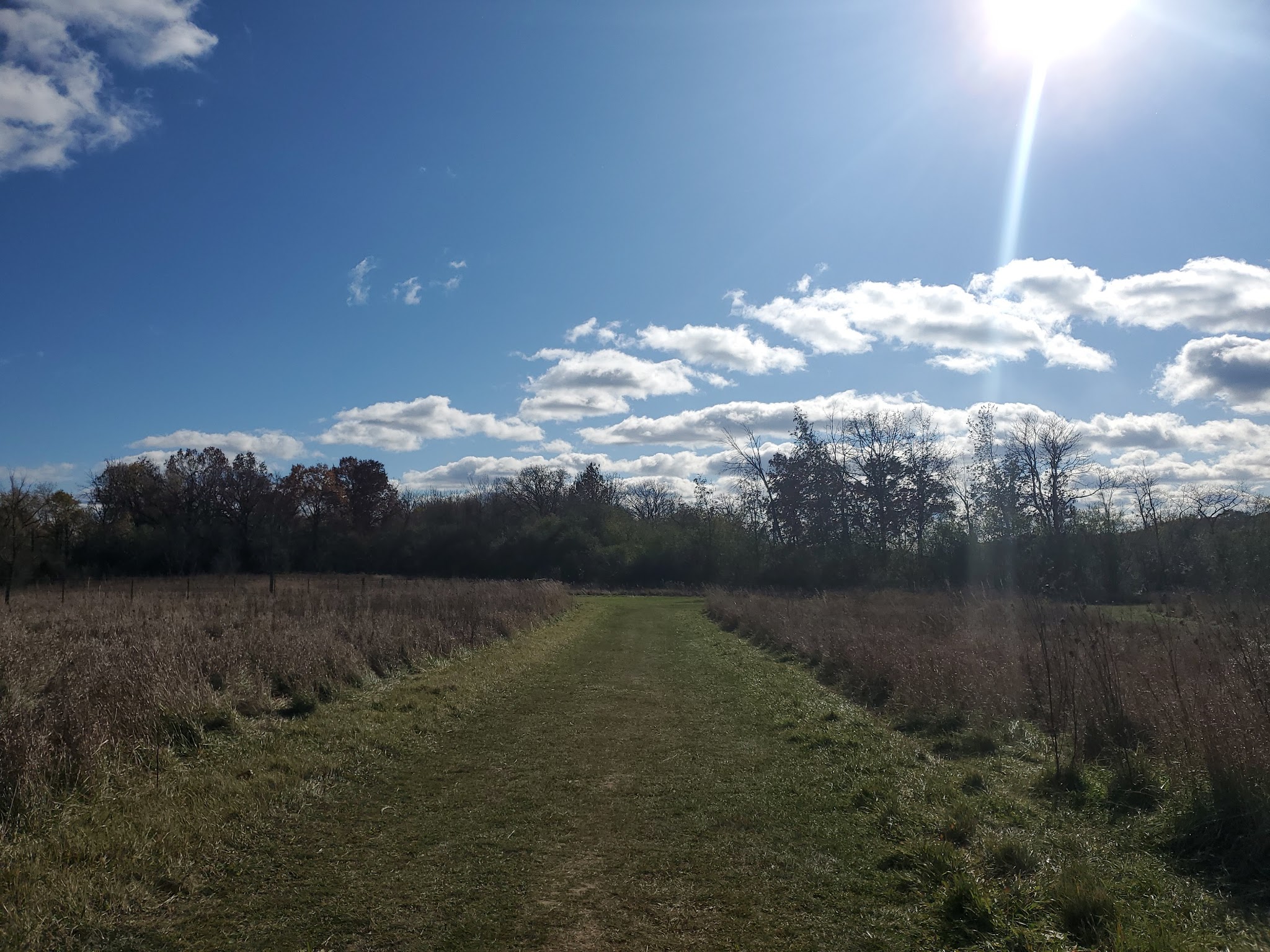 Duck Farm Forest Preserve - Lake Villa, IL