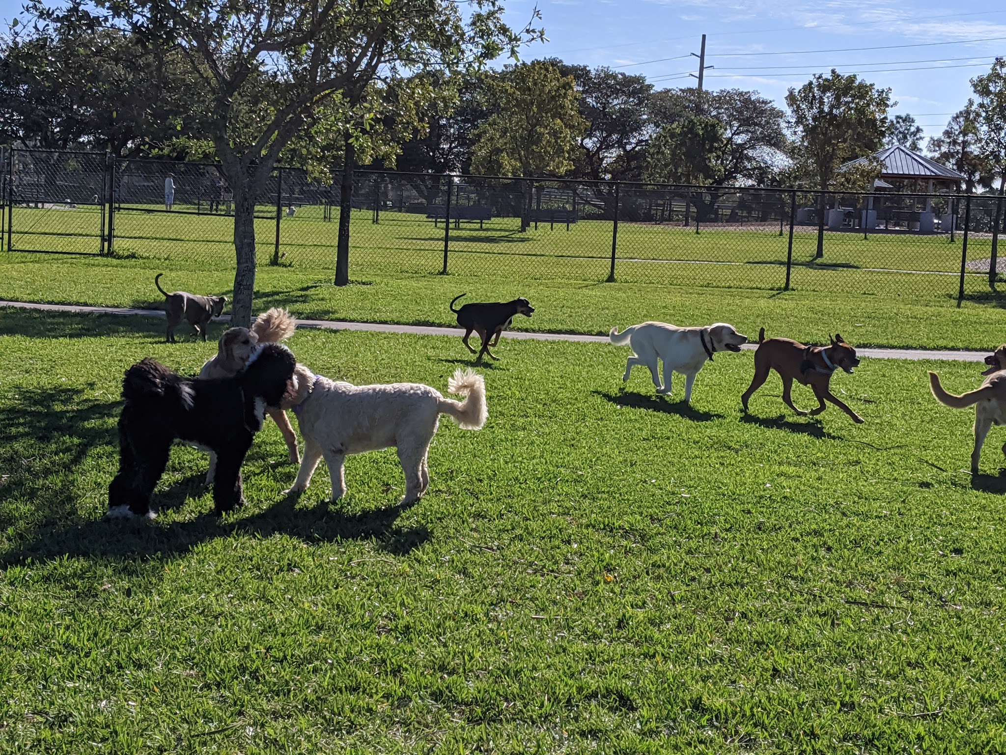 Lake Woof Dog Park - Lake Worth Beach, FL