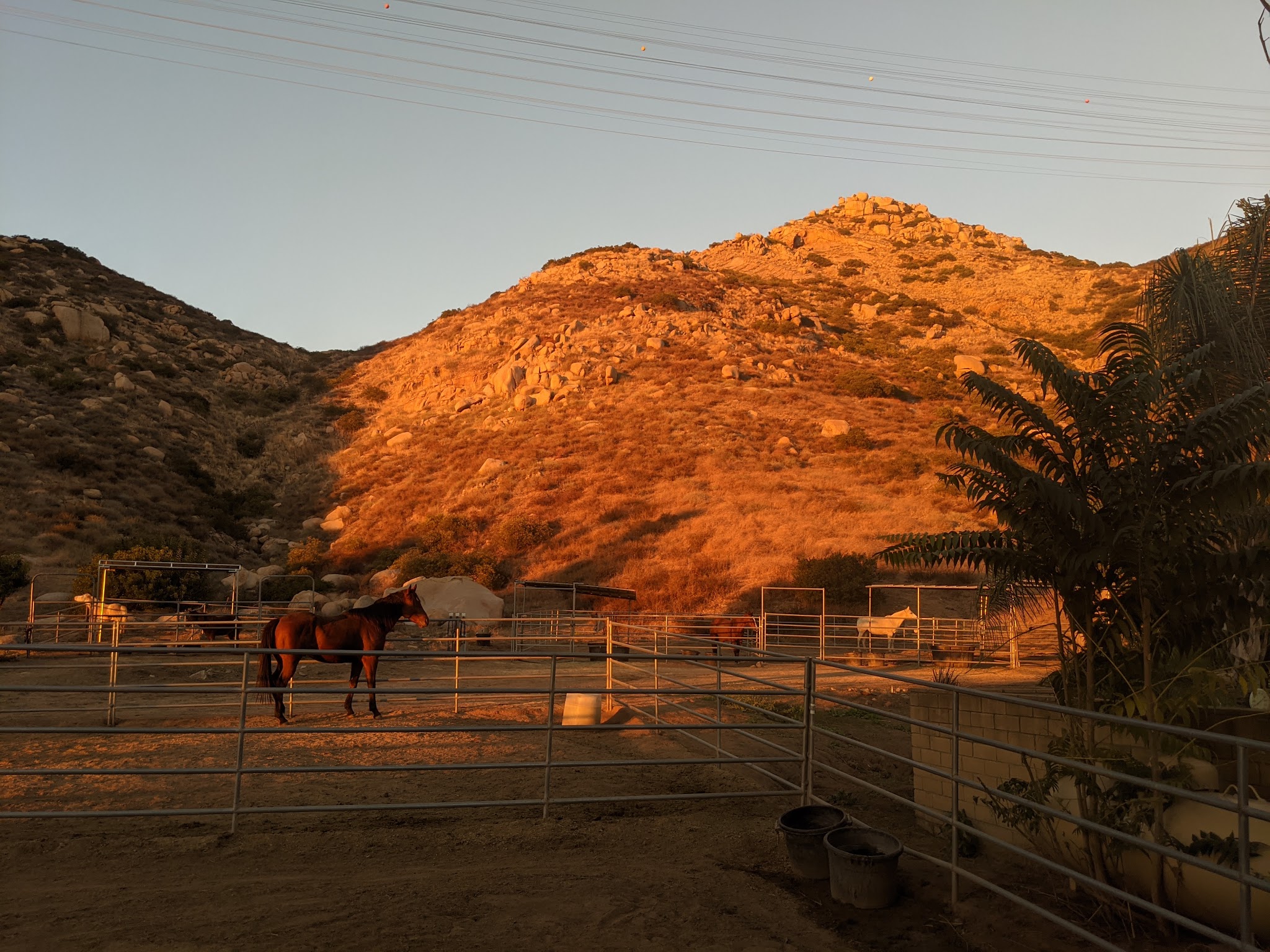 San Diego River Park Trail, El Monte Valley - Lakeside, CA