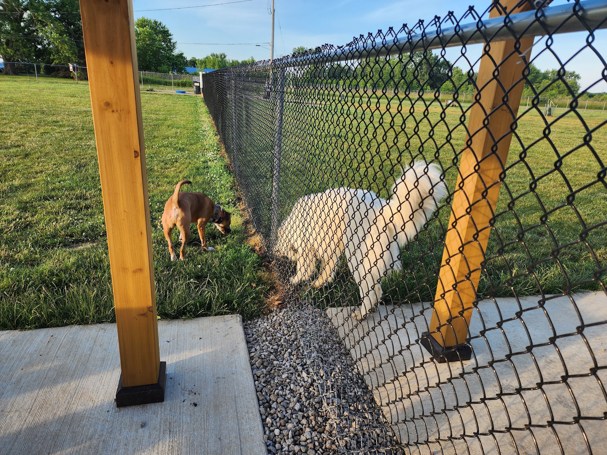 Bark Until Dark Dog Park - Lakeside Marblehead, OH