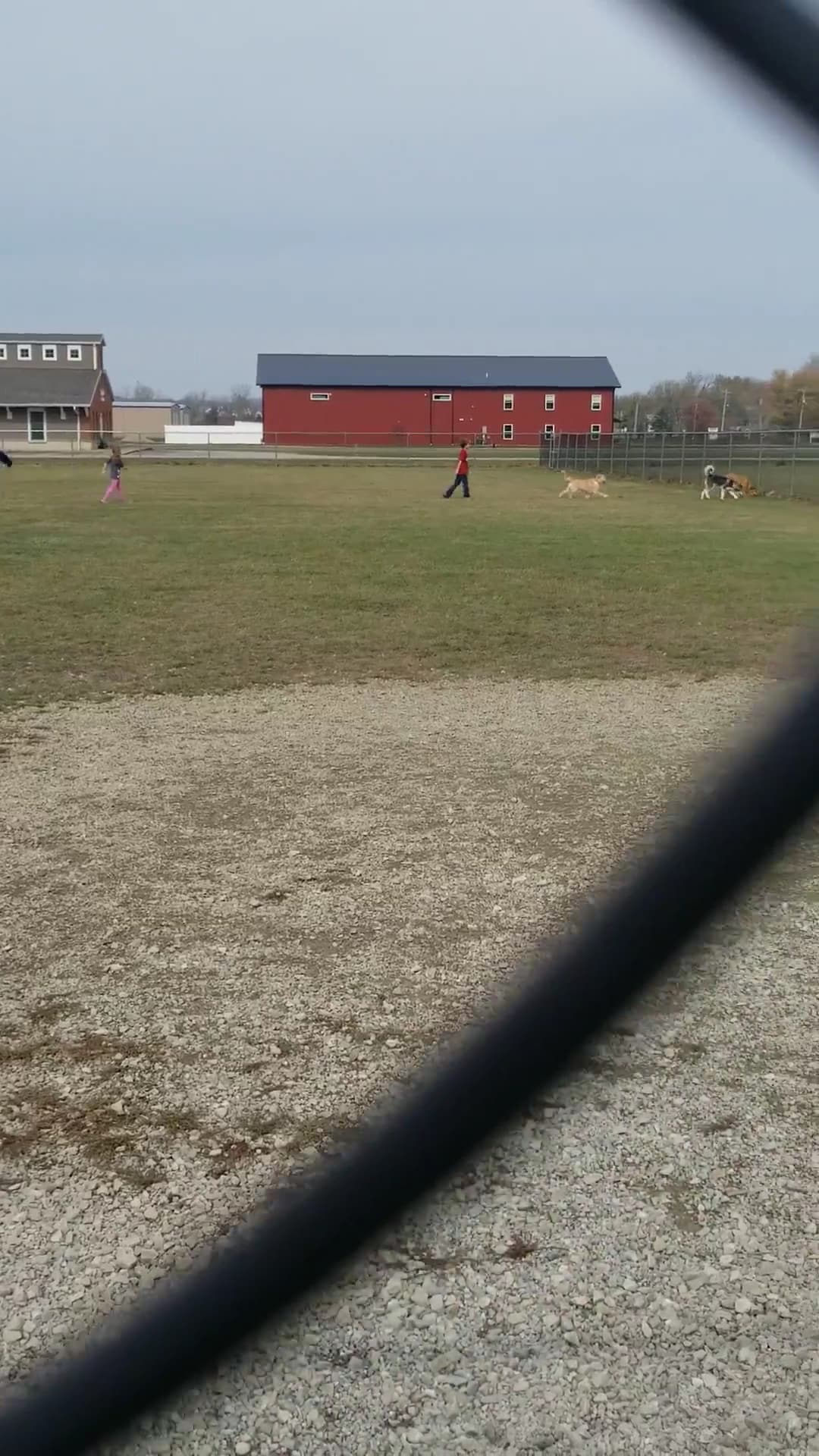 Bark Until Dark Dog Park - Lakeside Marblehead, OH