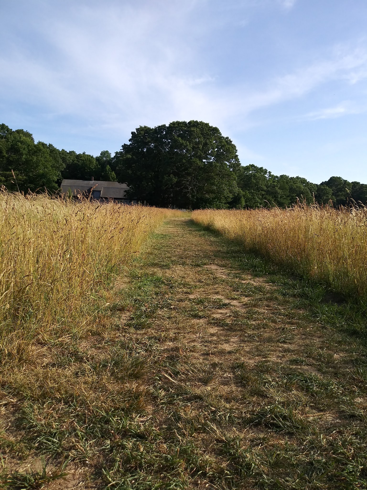Betty's Neck - Lakeville, MA