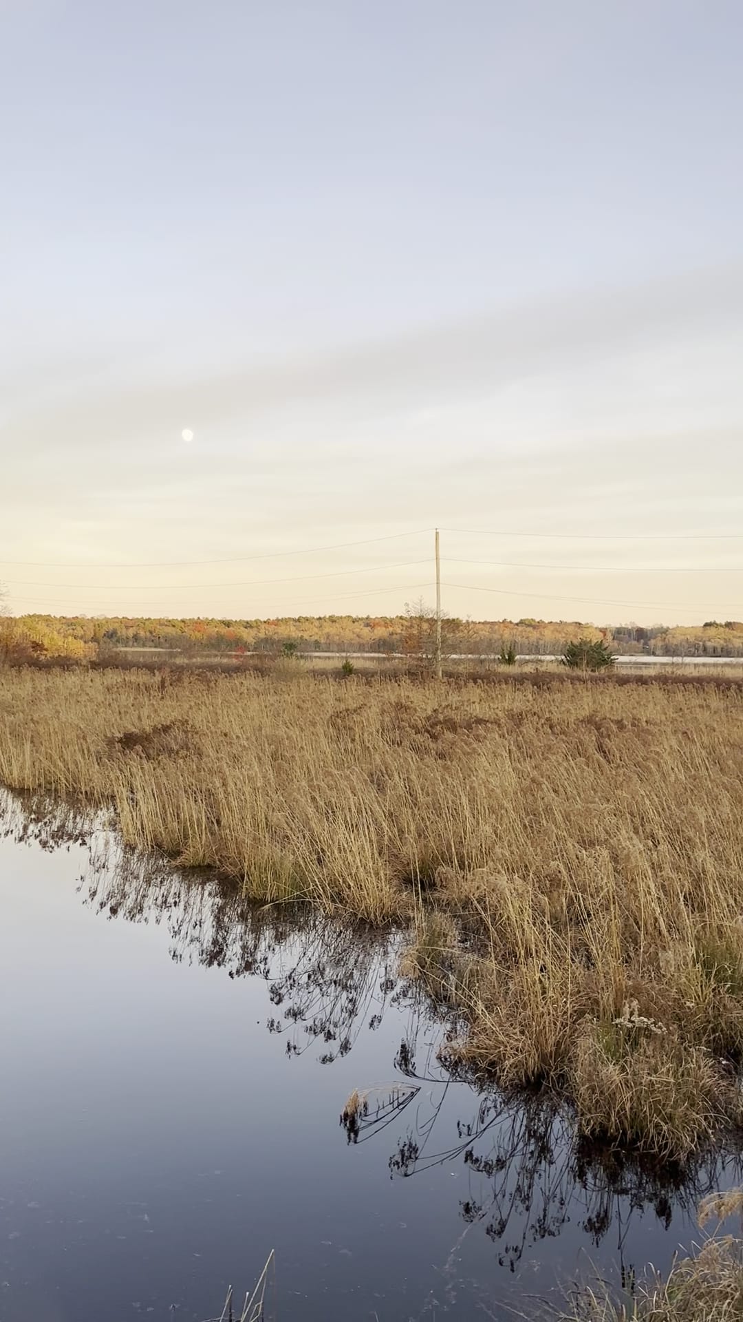 Betty's Neck - Lakeville, MA