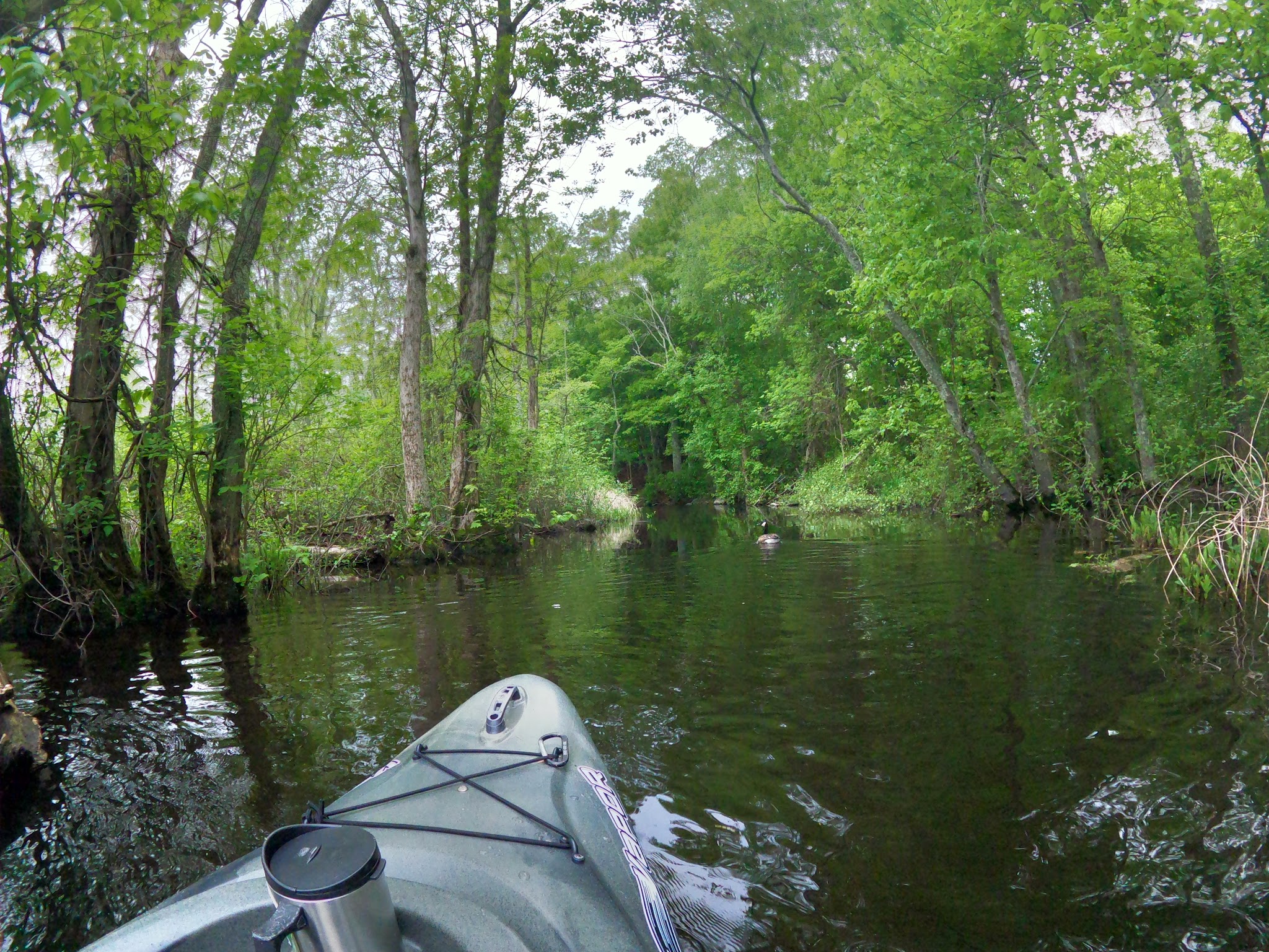Tamarack Park - Lakeville, MA
