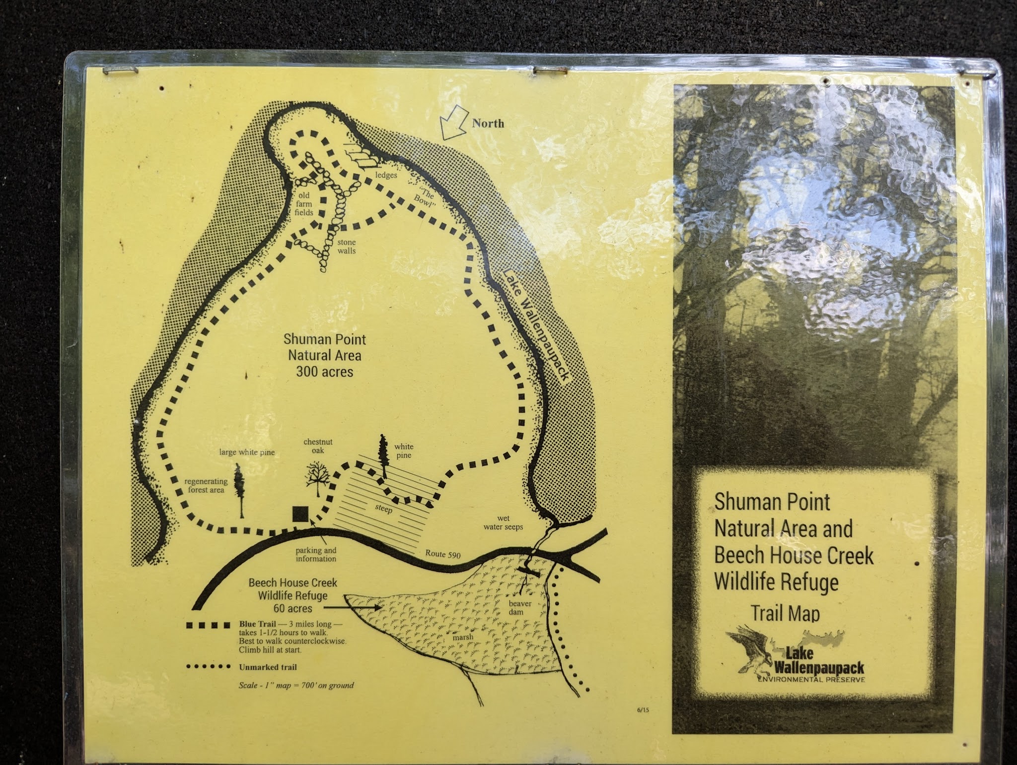 Shuman Point Hiking Trail - Lakeville, PA