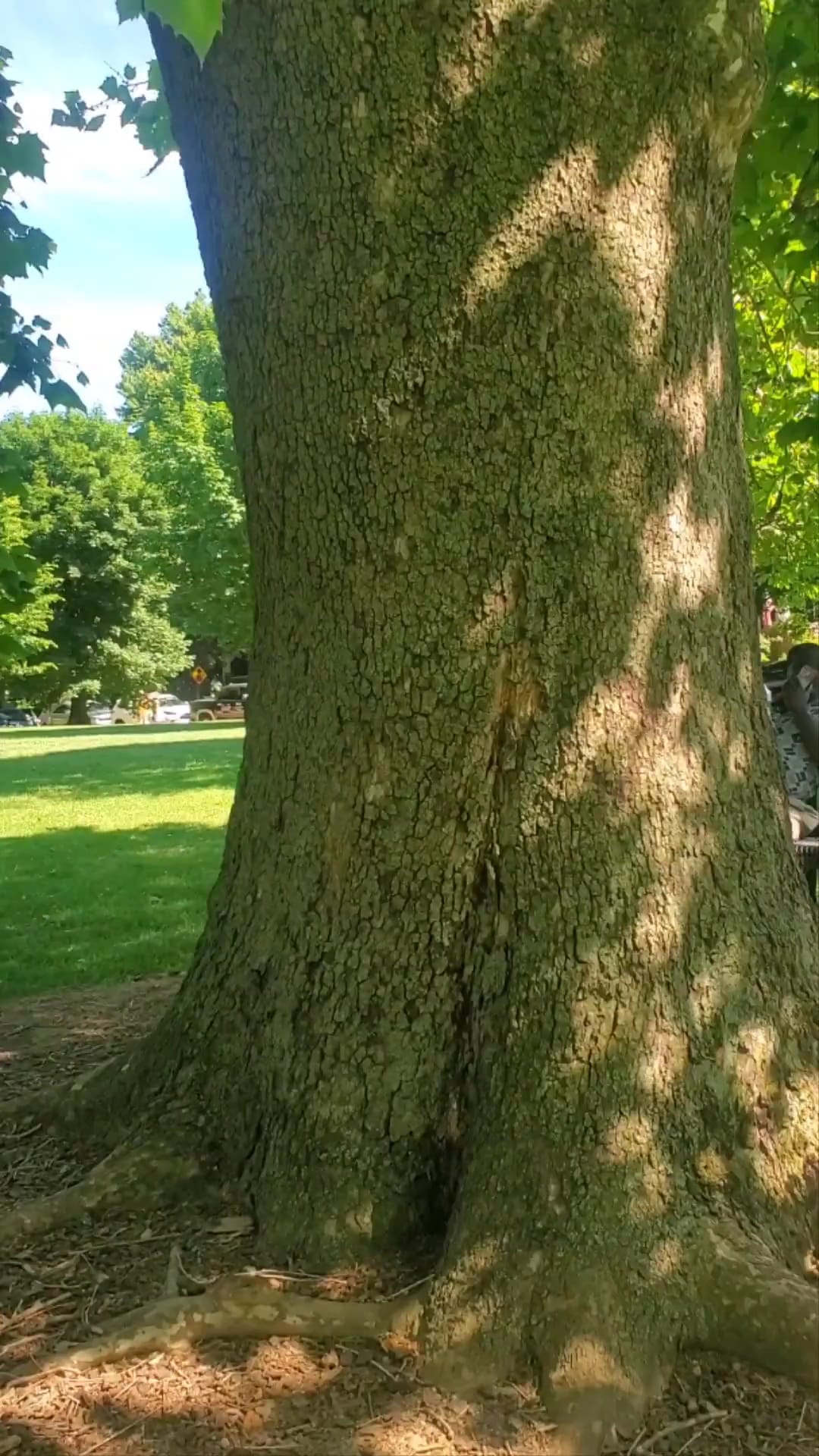 Buchanan Park - Lancaster, PA