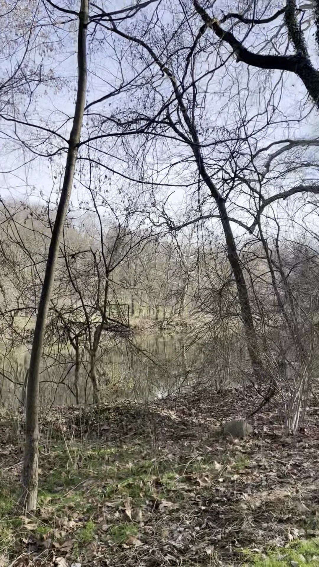 Conestoga Greenway S. Duke St. Parking Lot - Lancaster, PA