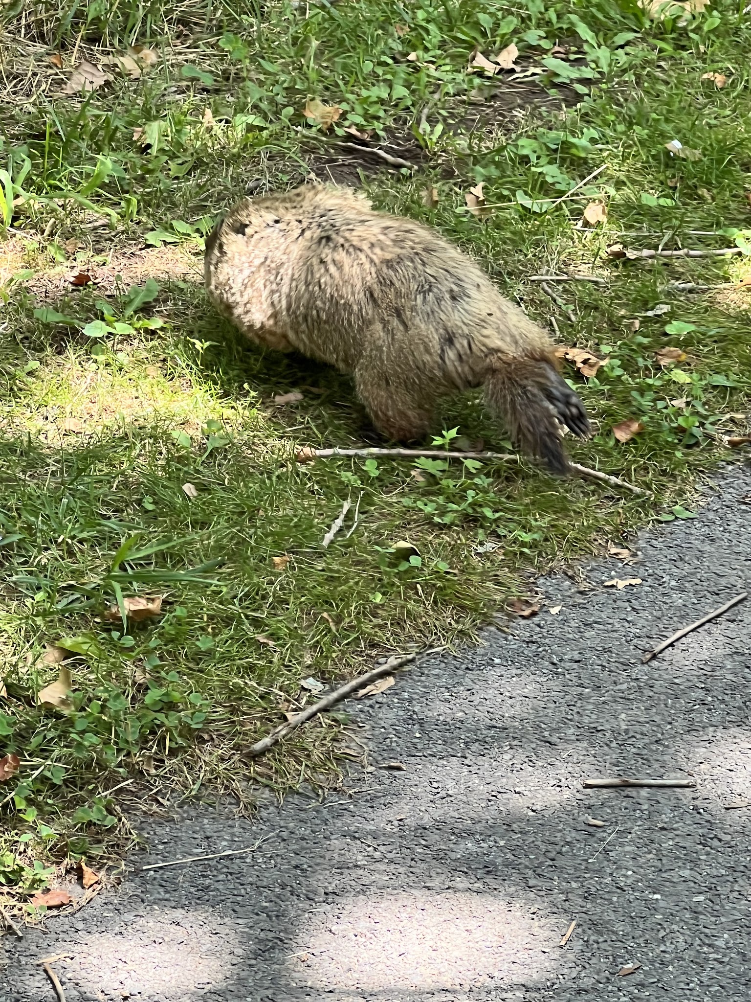 Conestoga Greenway Trail - Lancaster, PA