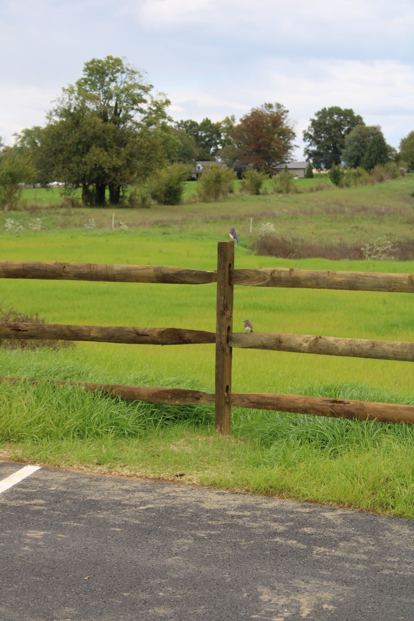 Greater Lancaster Heritage Pathway - Lancaster, PA