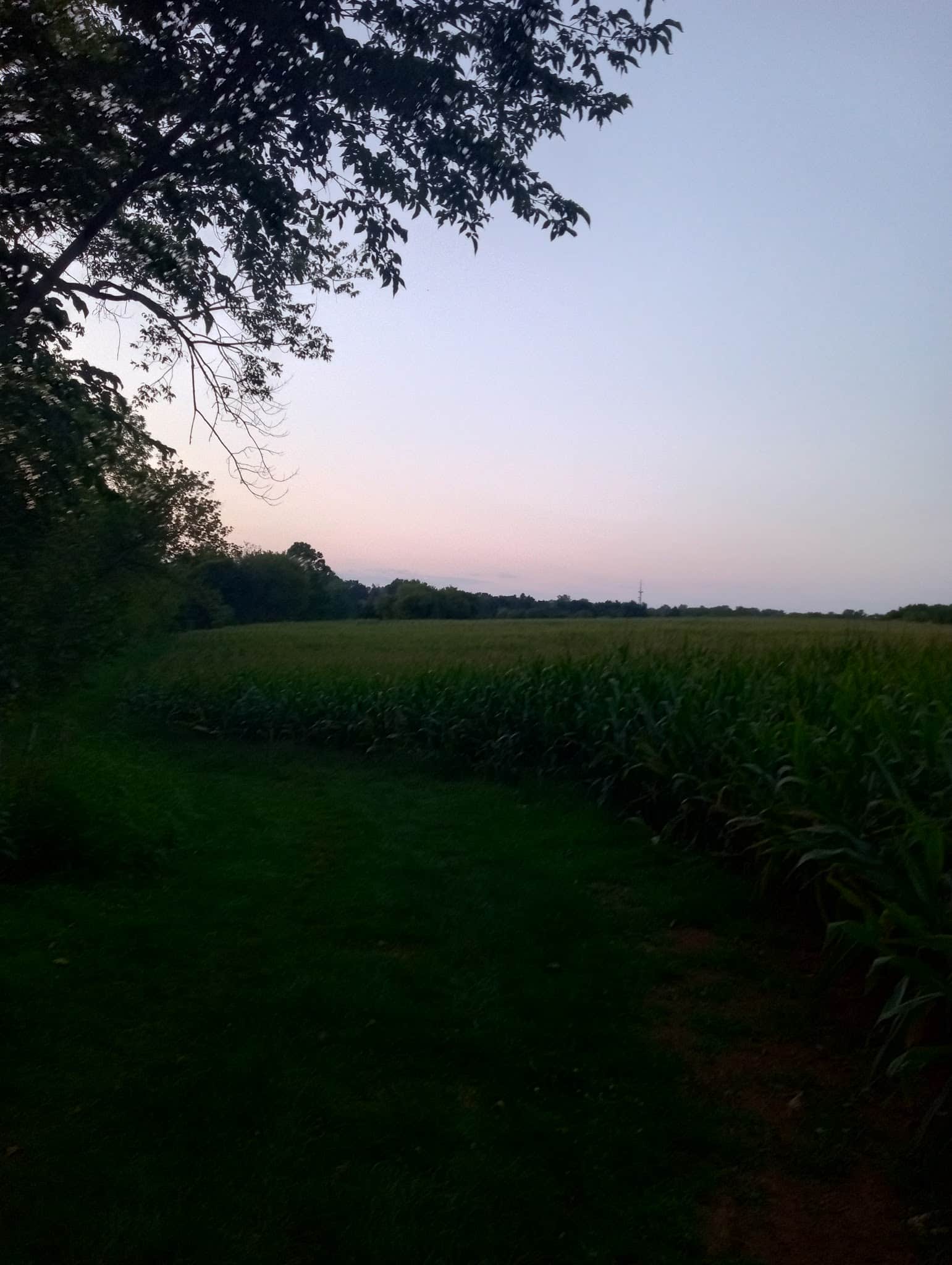 Lancaster County Central Park Exhibit Farm Parking Area - Lancaster, PA