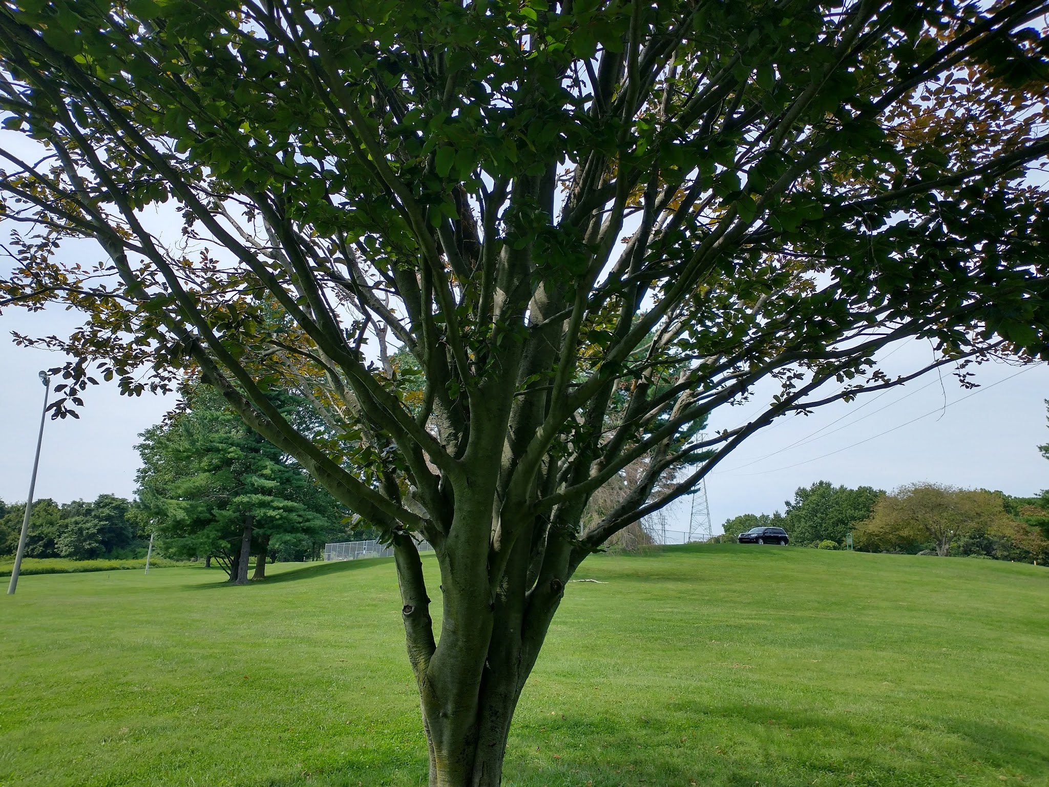 Lancaster County Central Park Muhlenberg/Equestrian Parking Lot - Lancaster, PA