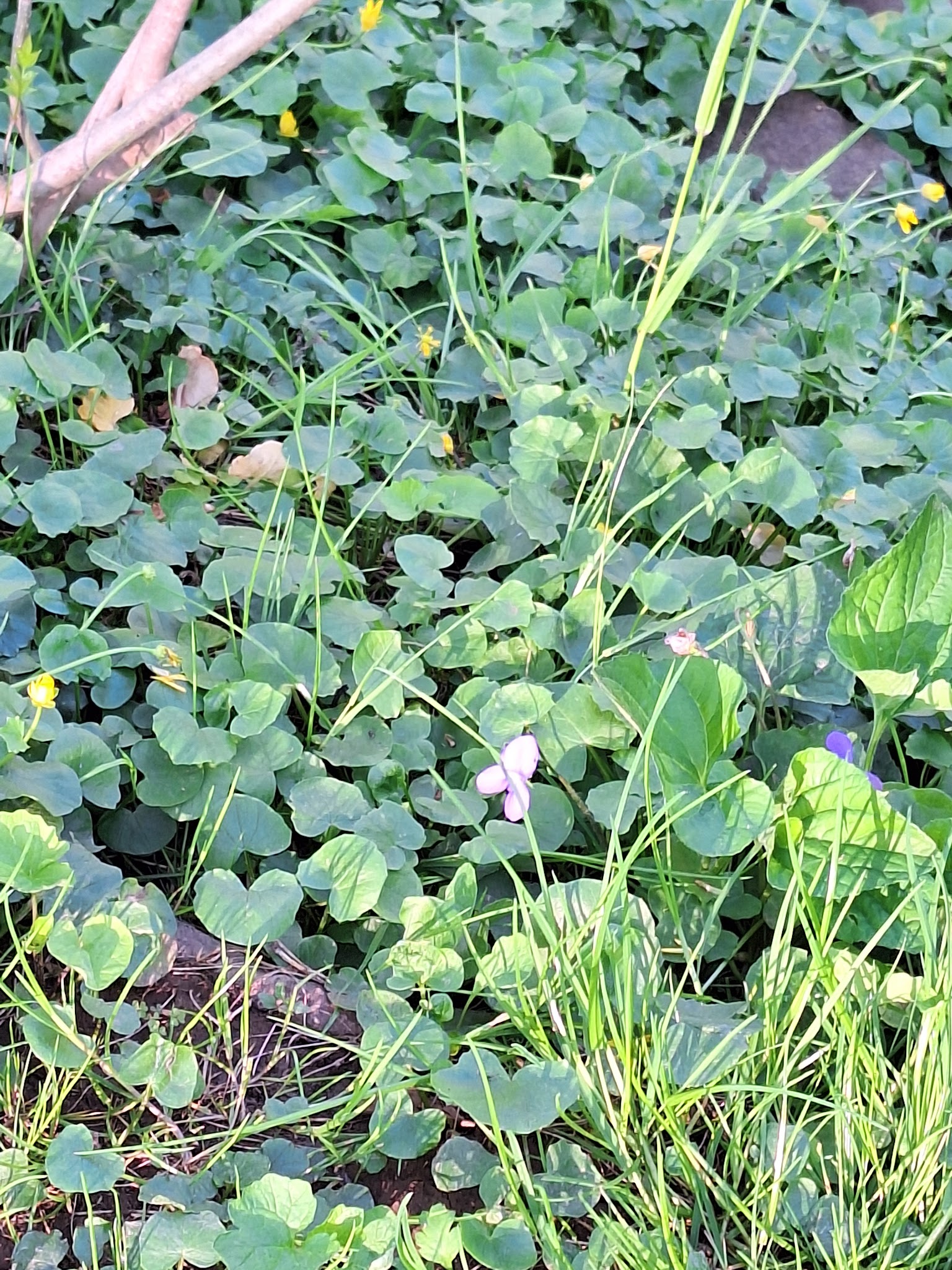 Perelman Park - Lancaster, PA