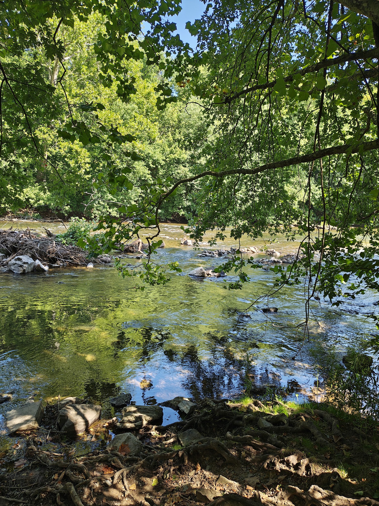 Perelman Park - Lancaster, PA