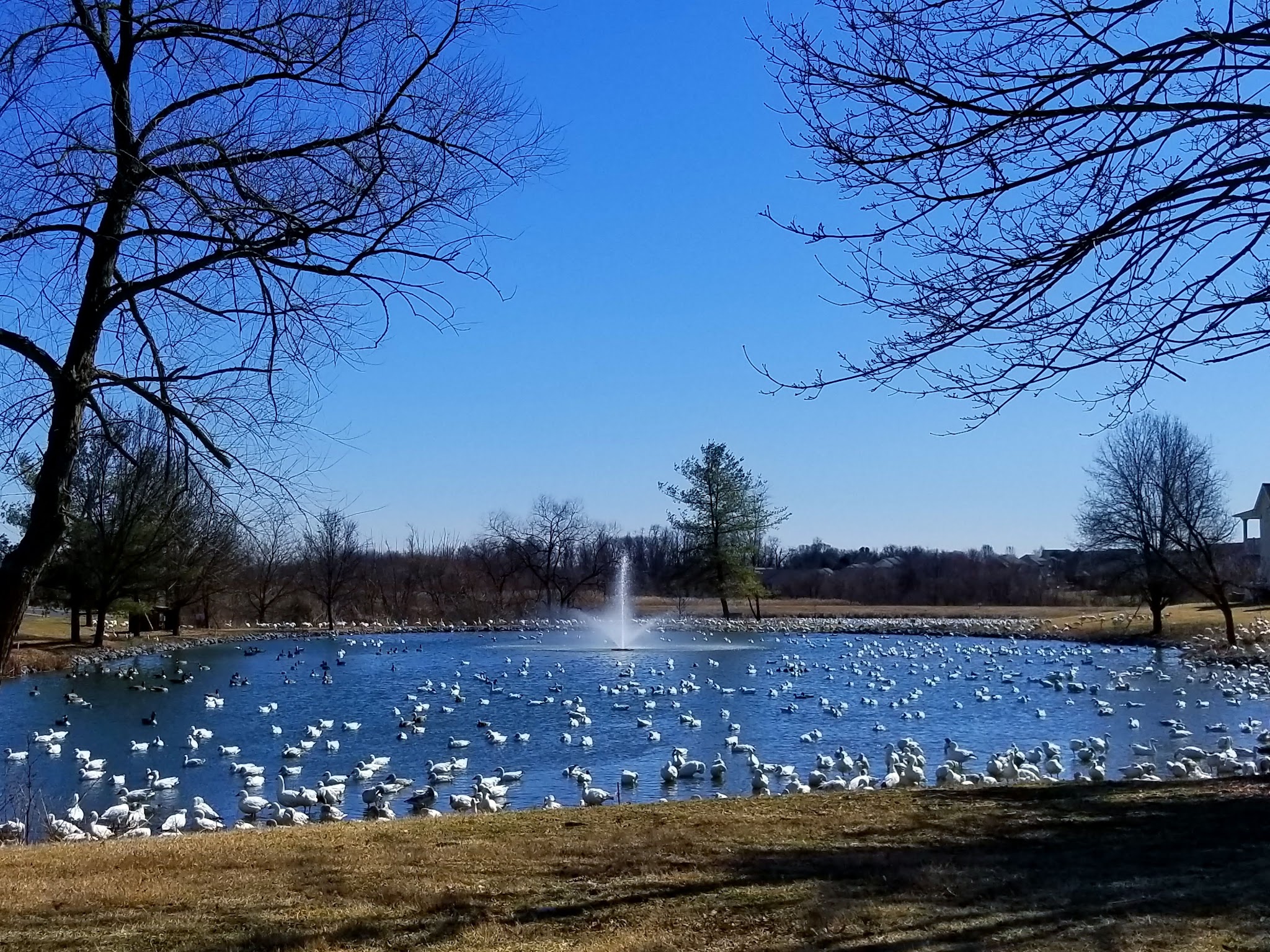 Wood's Edge Park - Lancaster, PA