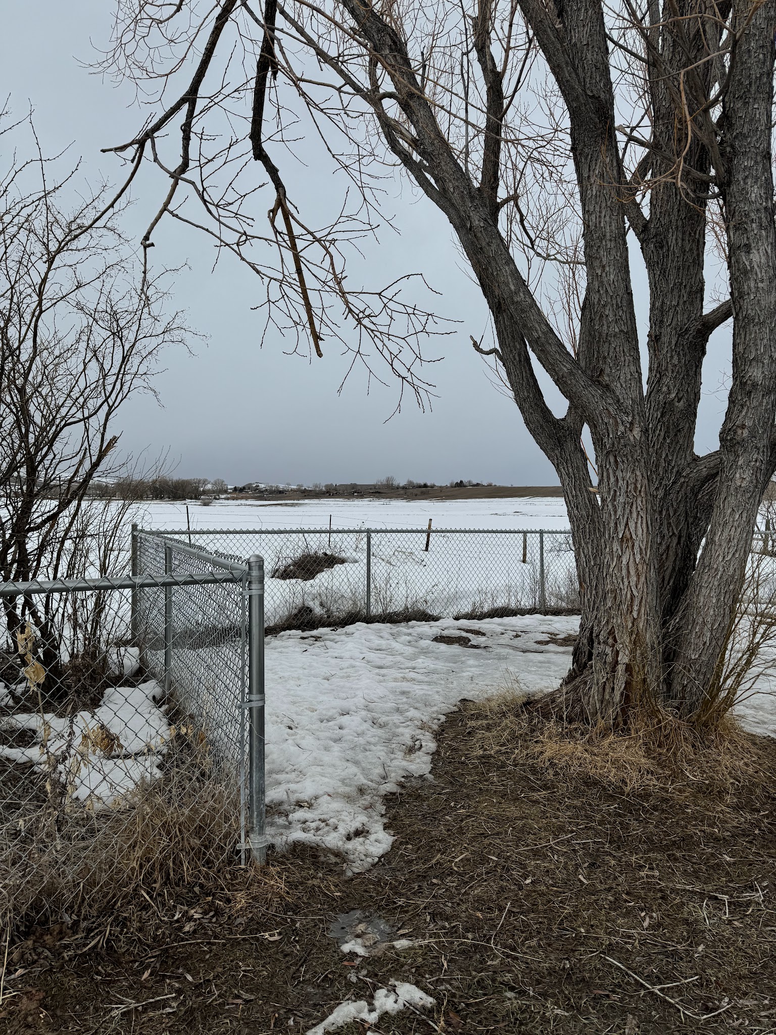 Lander Dog Park - Lander, WY