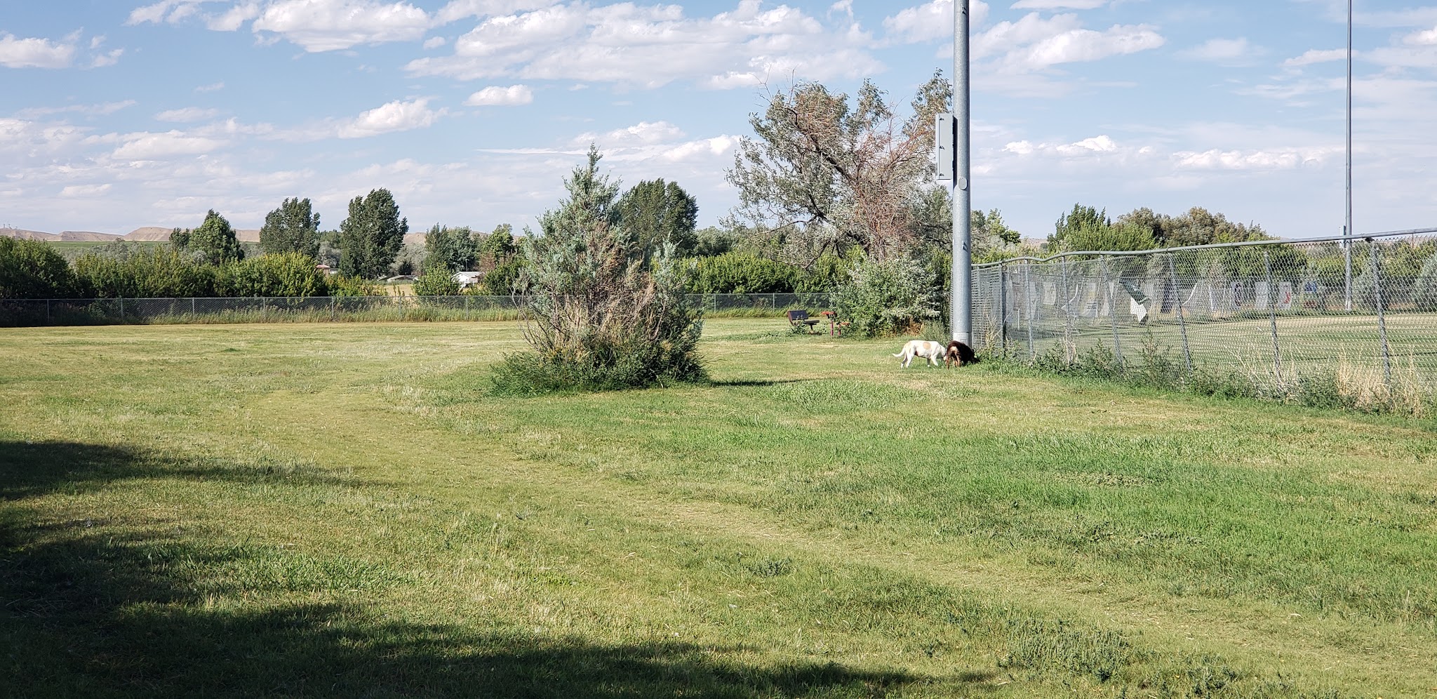 Lander Dog Park - Lander, WY