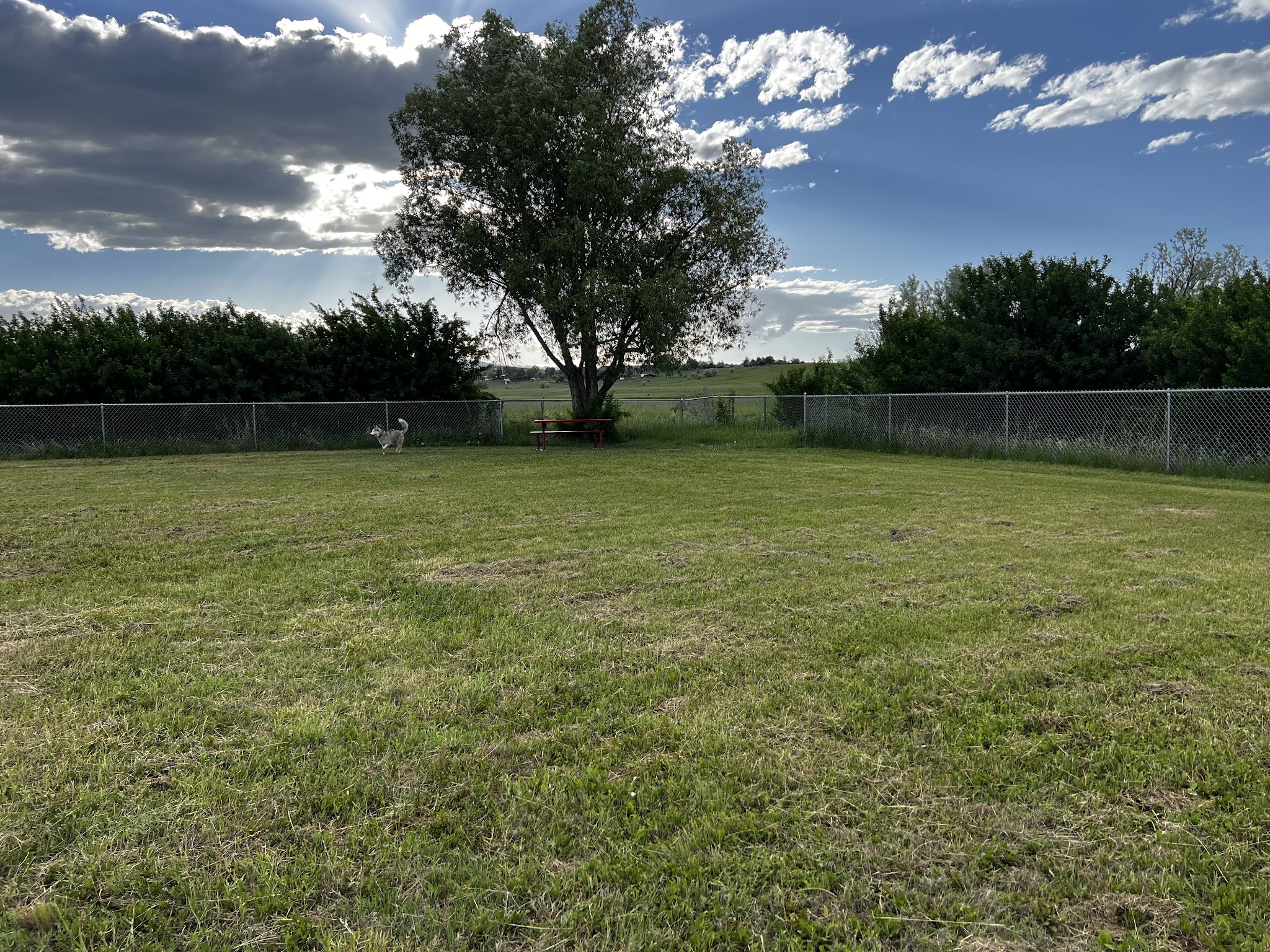 Lander Dog Park - Lander, WY
