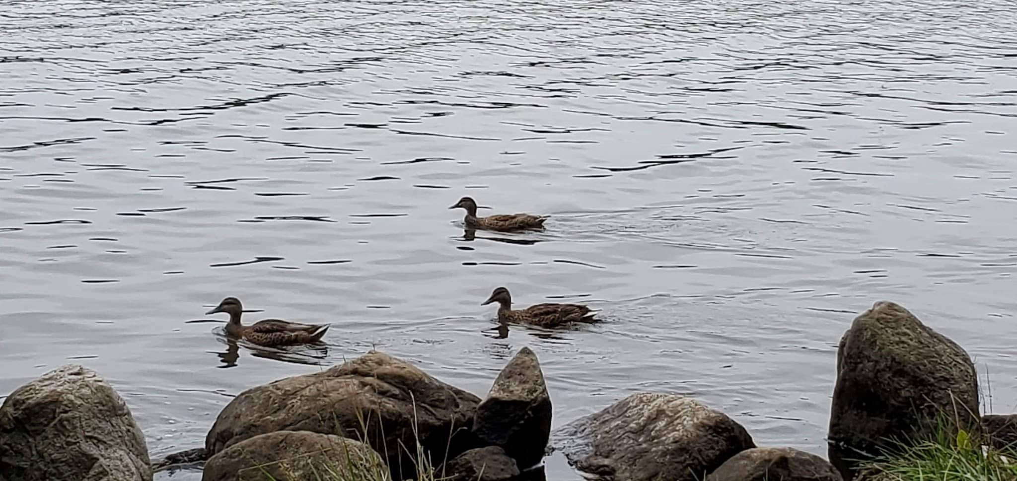 Shore Hills Park - Landing, NJ