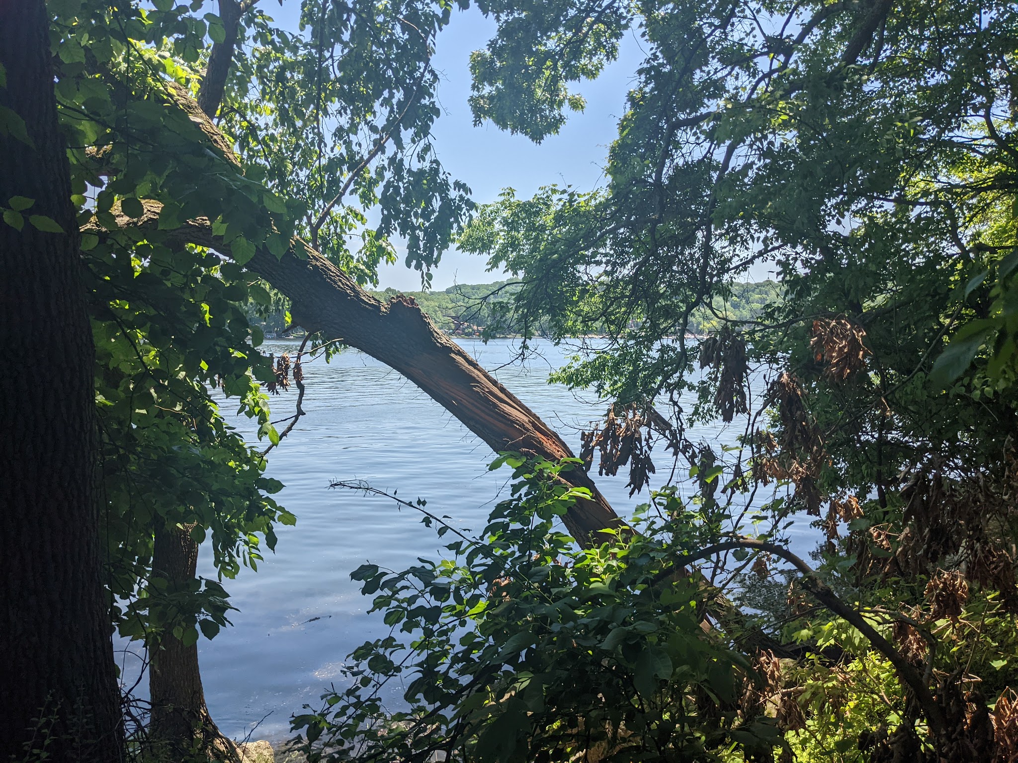 Shore Hills Park - Landing, NJ