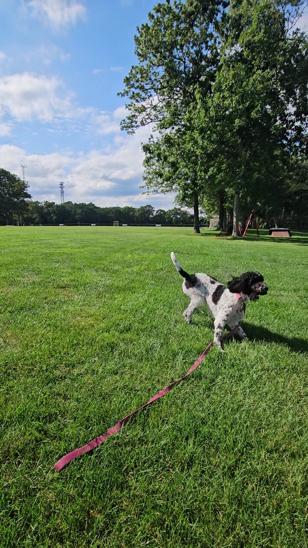 Gille Park - Lanoka Harbor, NJ