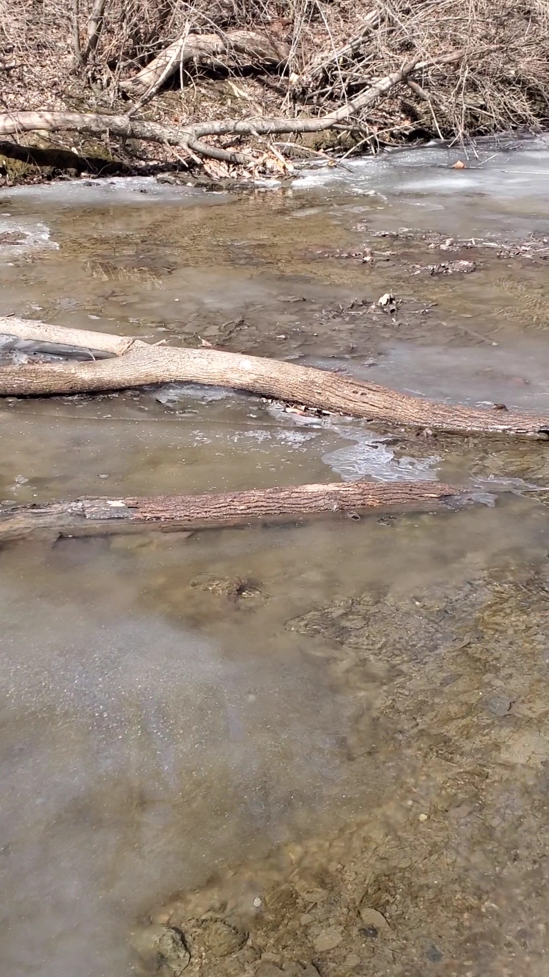 Angel Falls Trail - Lansing, KS