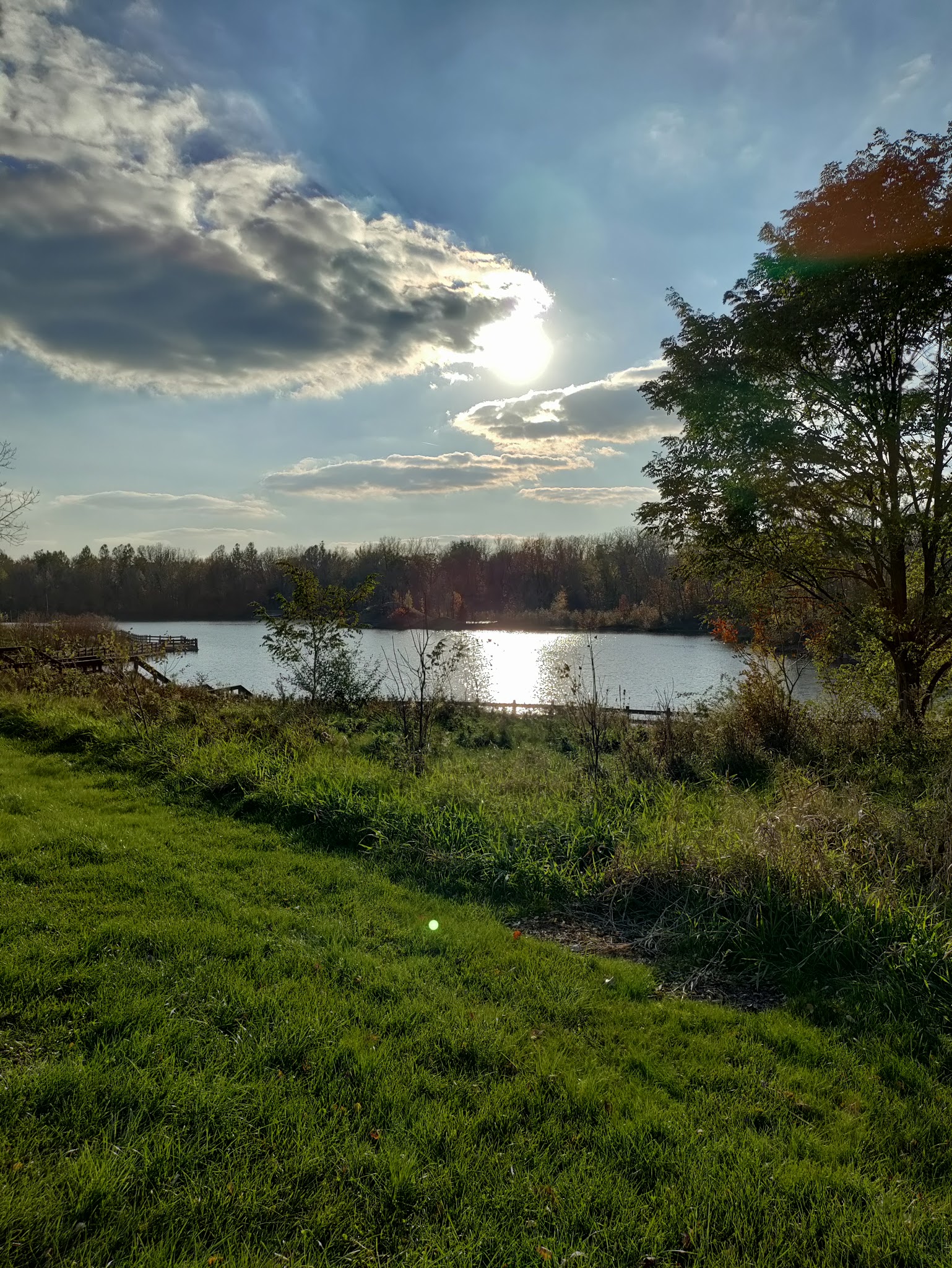 Soldan Dog Park - Lansing, MI