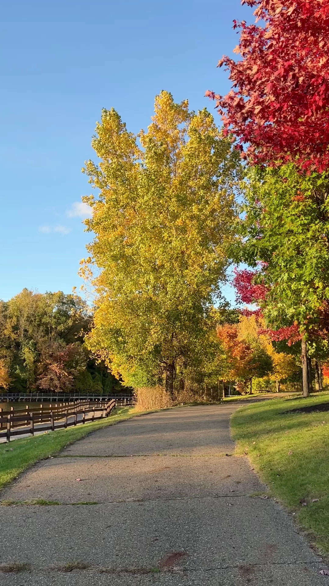 Soldan Dog Park - Lansing, MI
