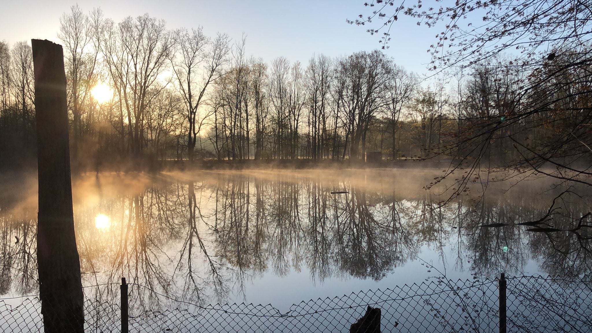 Soldan Dog Park - Lansing, MI