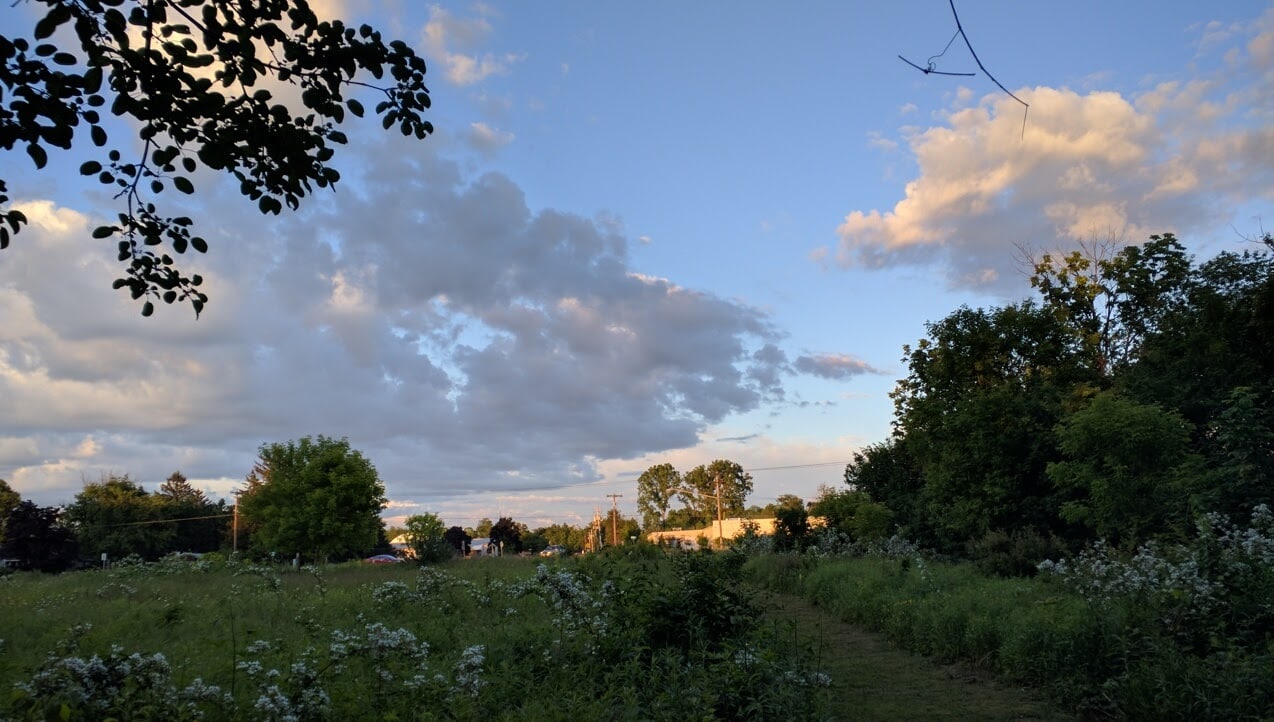 Lansing Center Trail - Lansing, NY