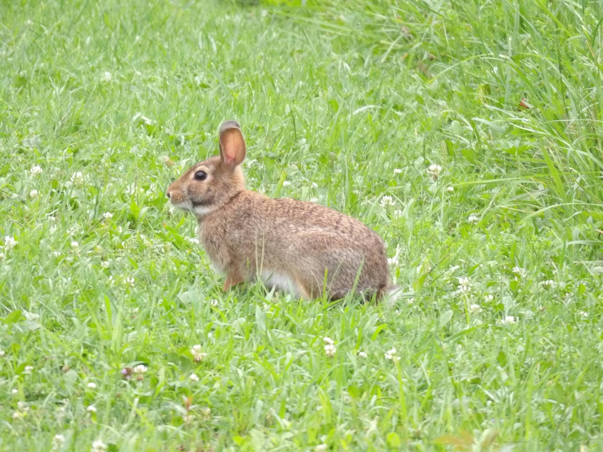 Lansing Center Trail - Lansing, NY