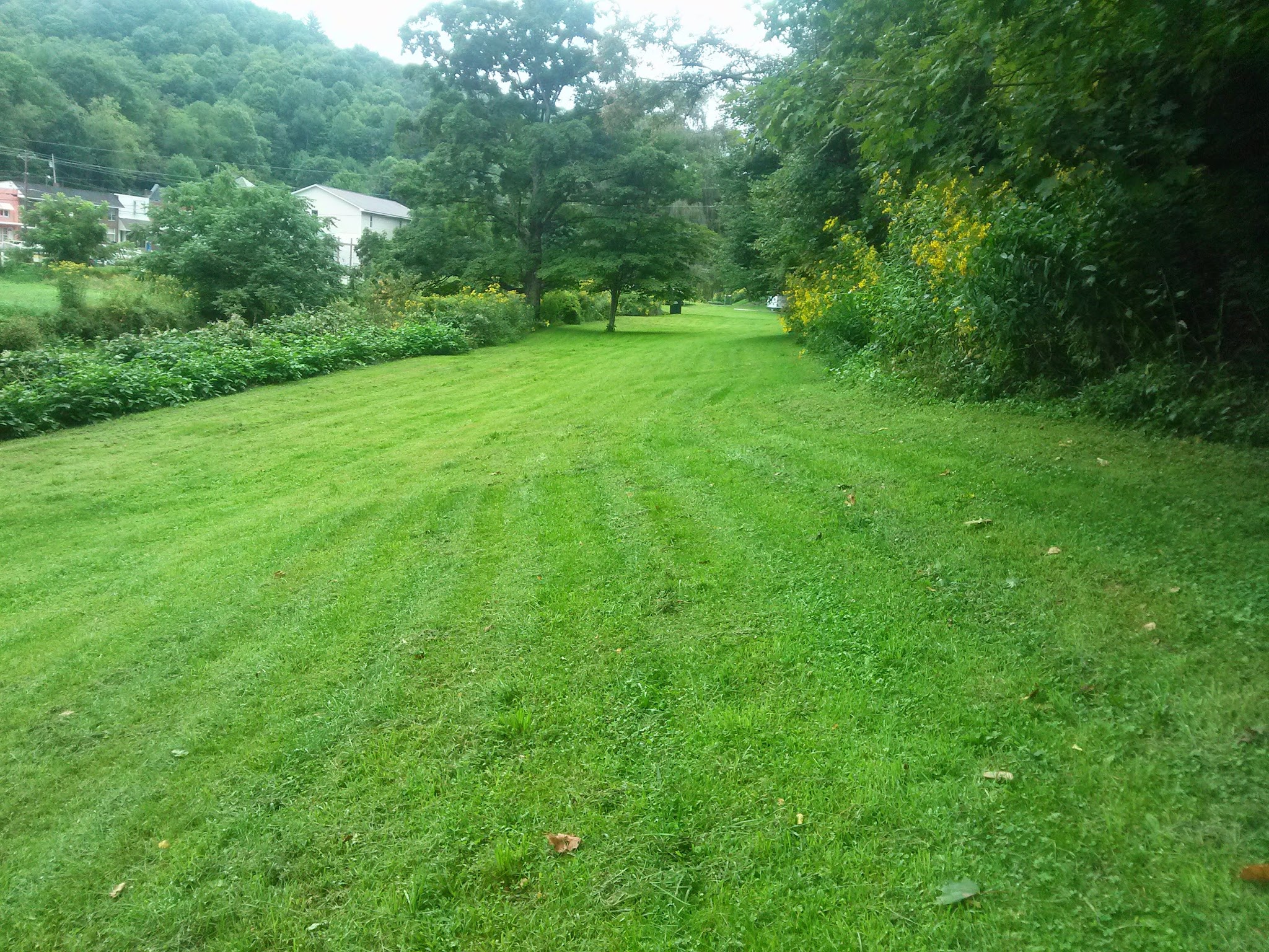 Dog Park area Lansing Creeper Trail Park - Lansing, NC