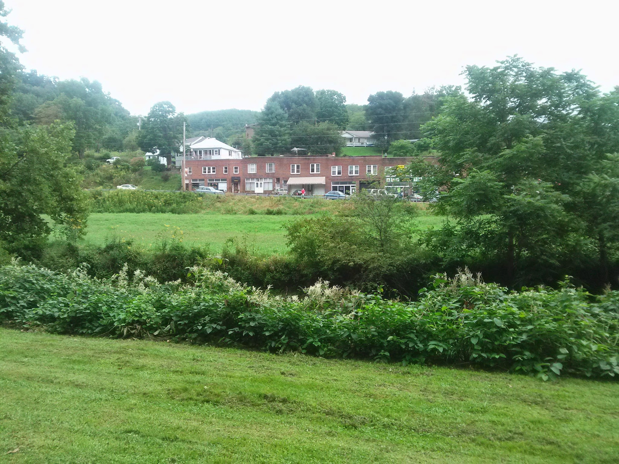 Dog Park area Lansing Creeper Trail Park - Lansing, NC