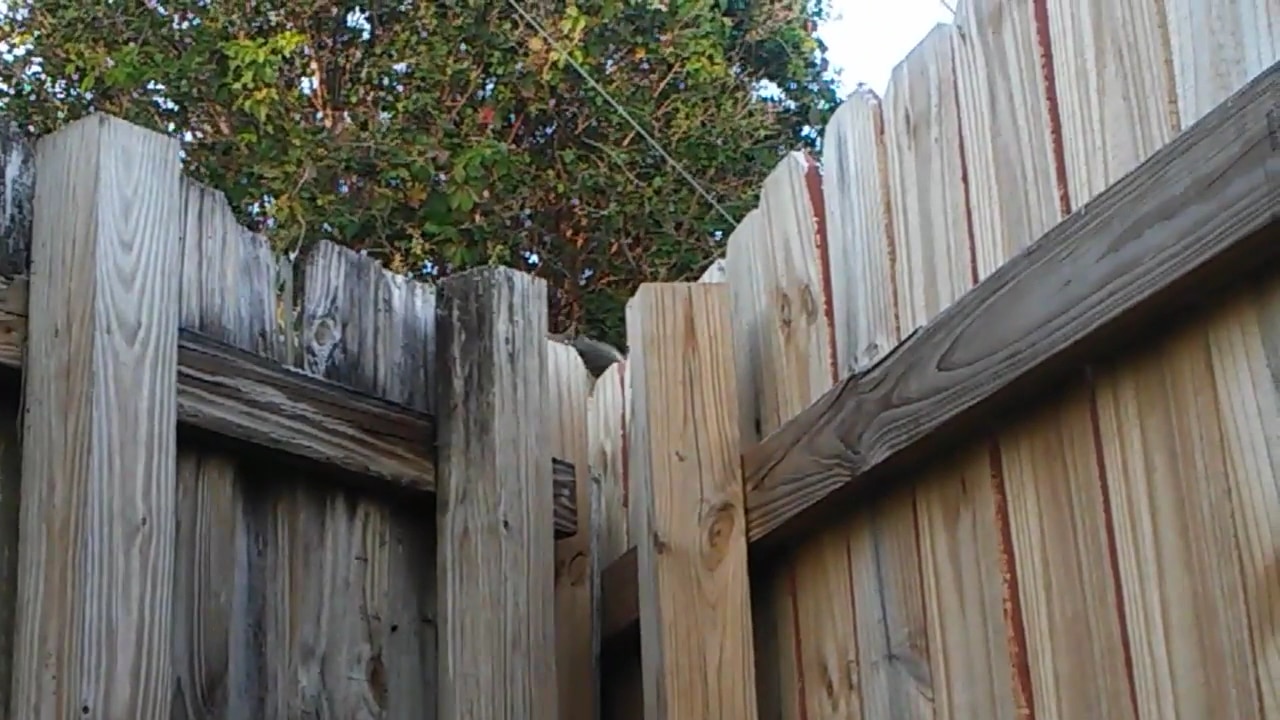 Maddock Park - Lantana, FL