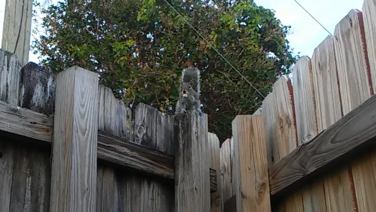 Maddock Park - Lantana, FL