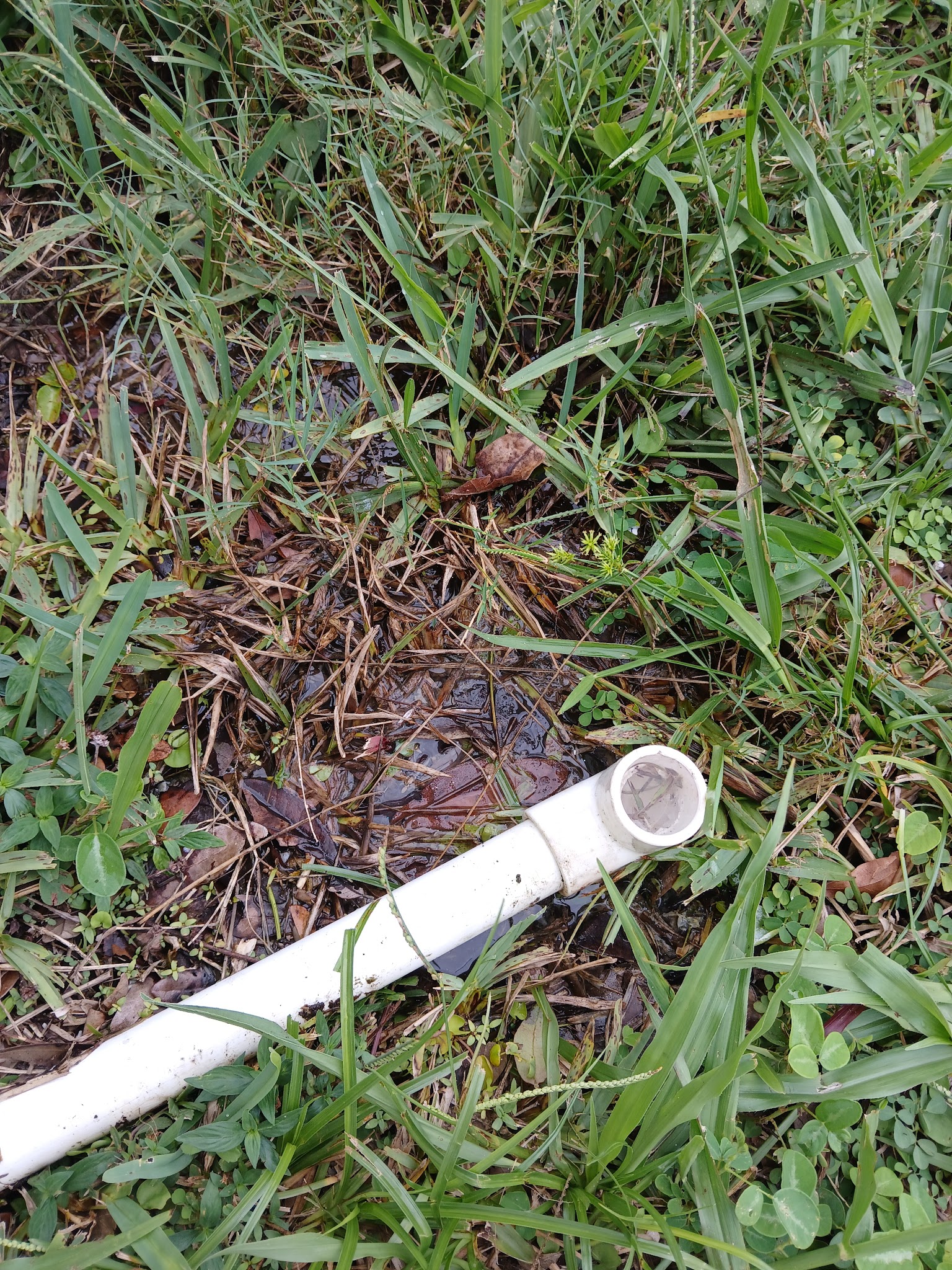 Pinellas Trail - Largo, FL