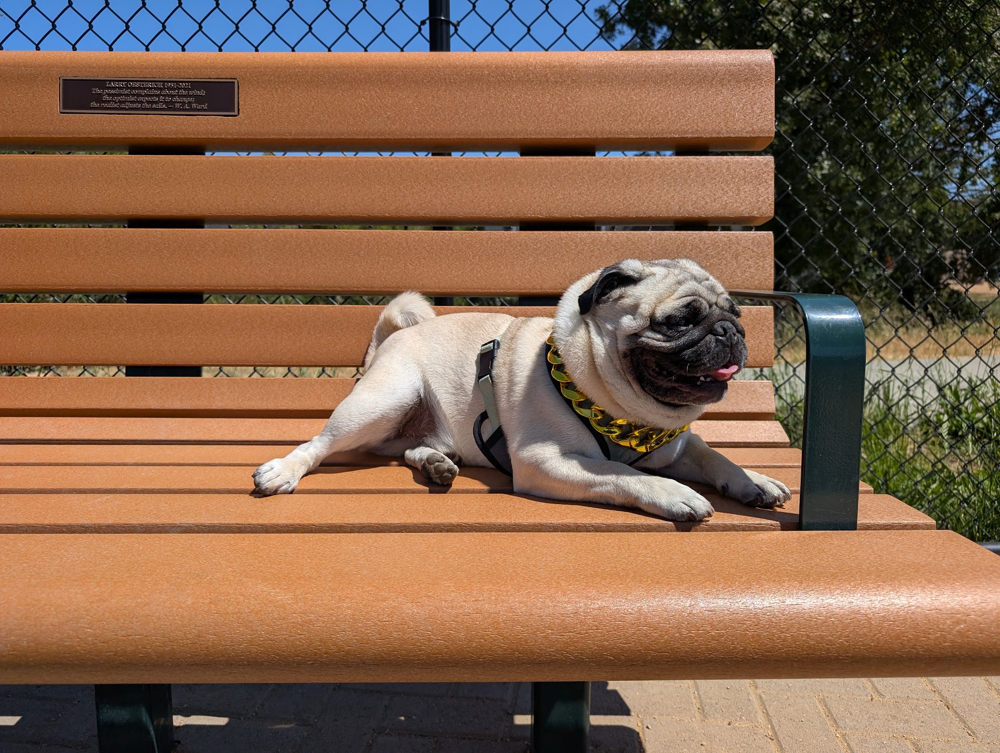 Dog Park | Piper Park - Larkspur, CA