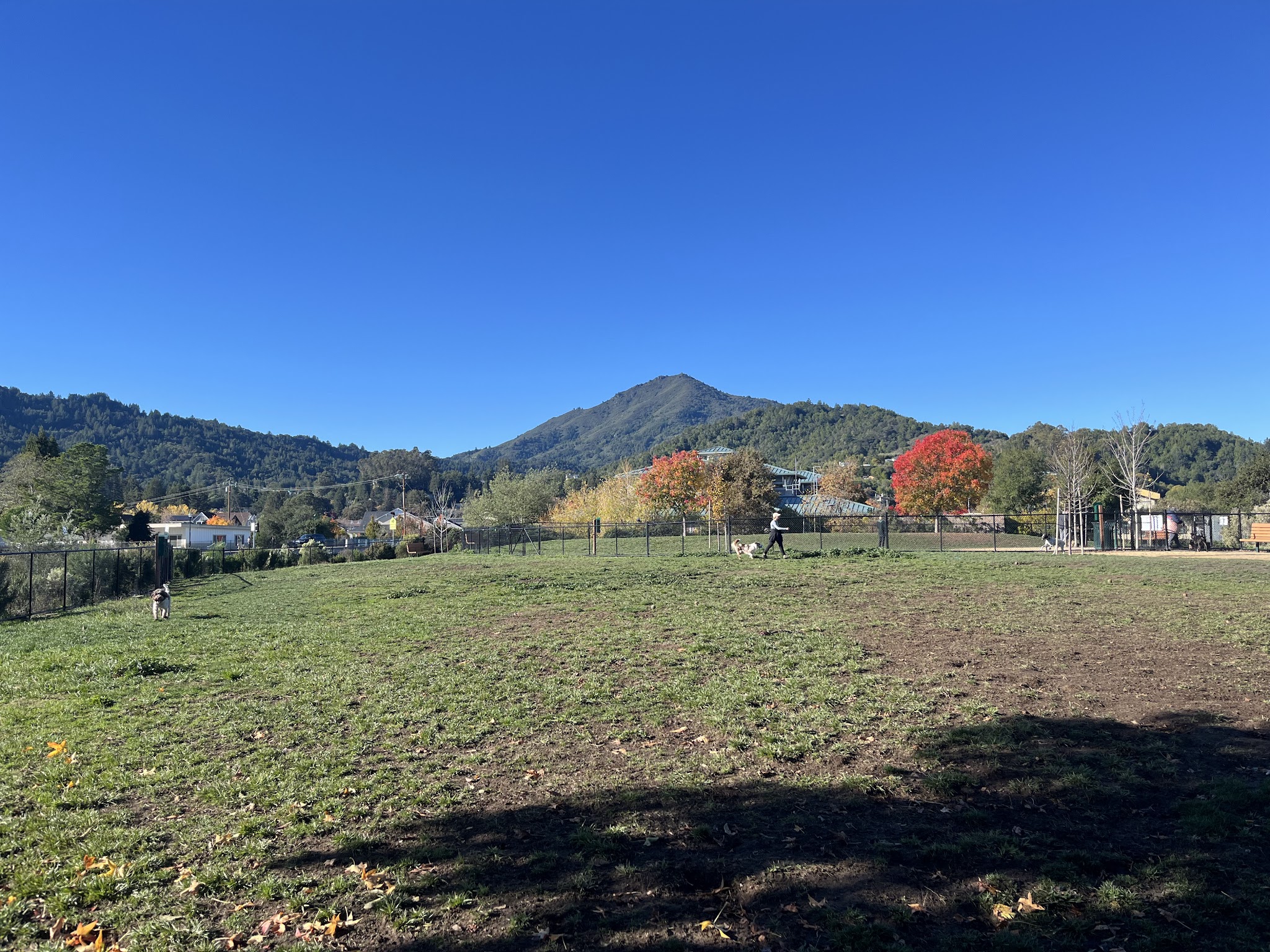 Dog Park | Piper Park - Larkspur, CA