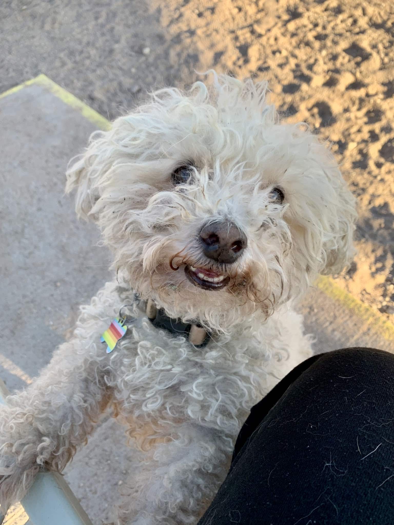 Las Cruces Dog Park - Las Cruces, NM